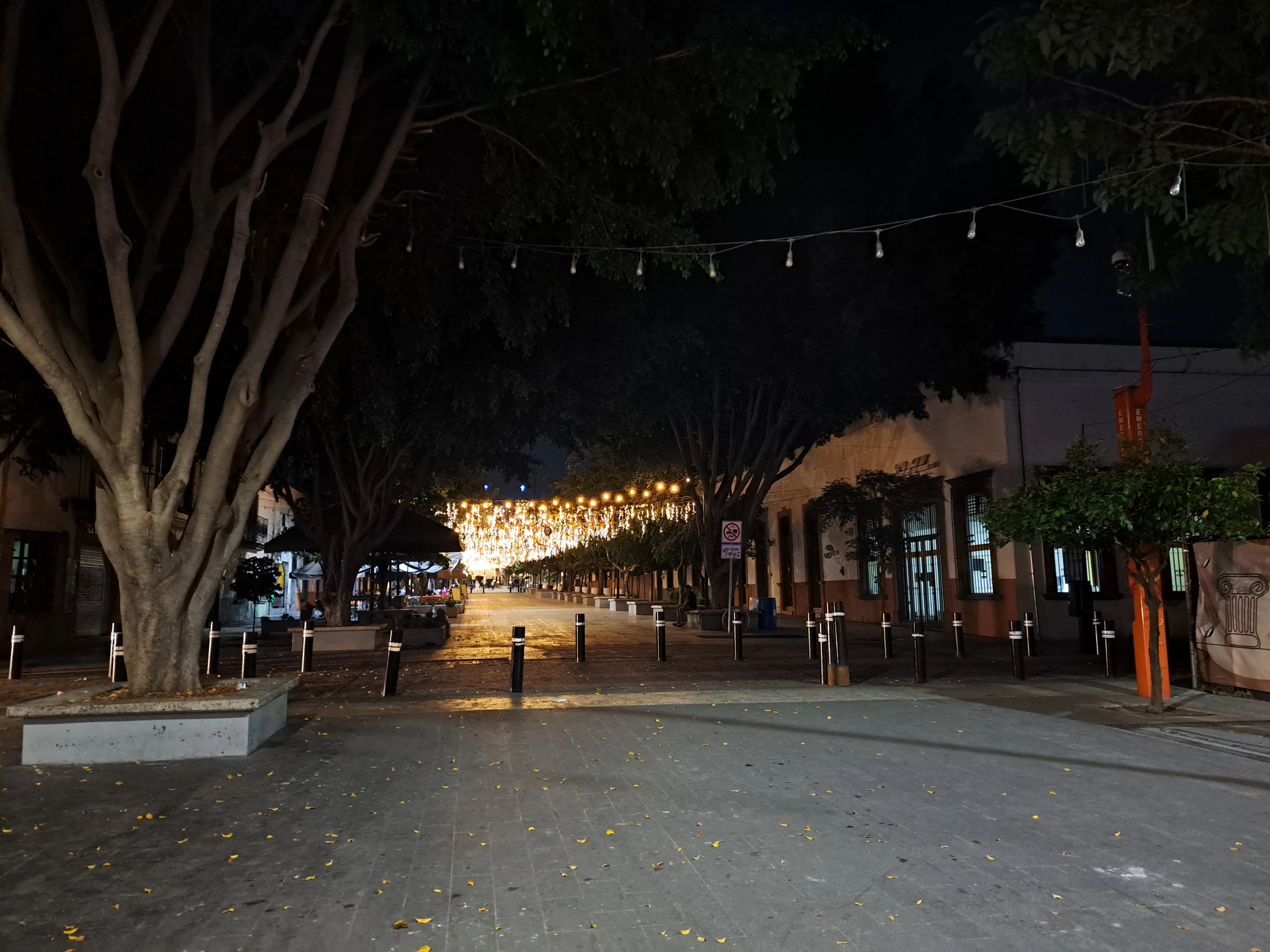 Restaurant Bar "Los Campesinos" image 9