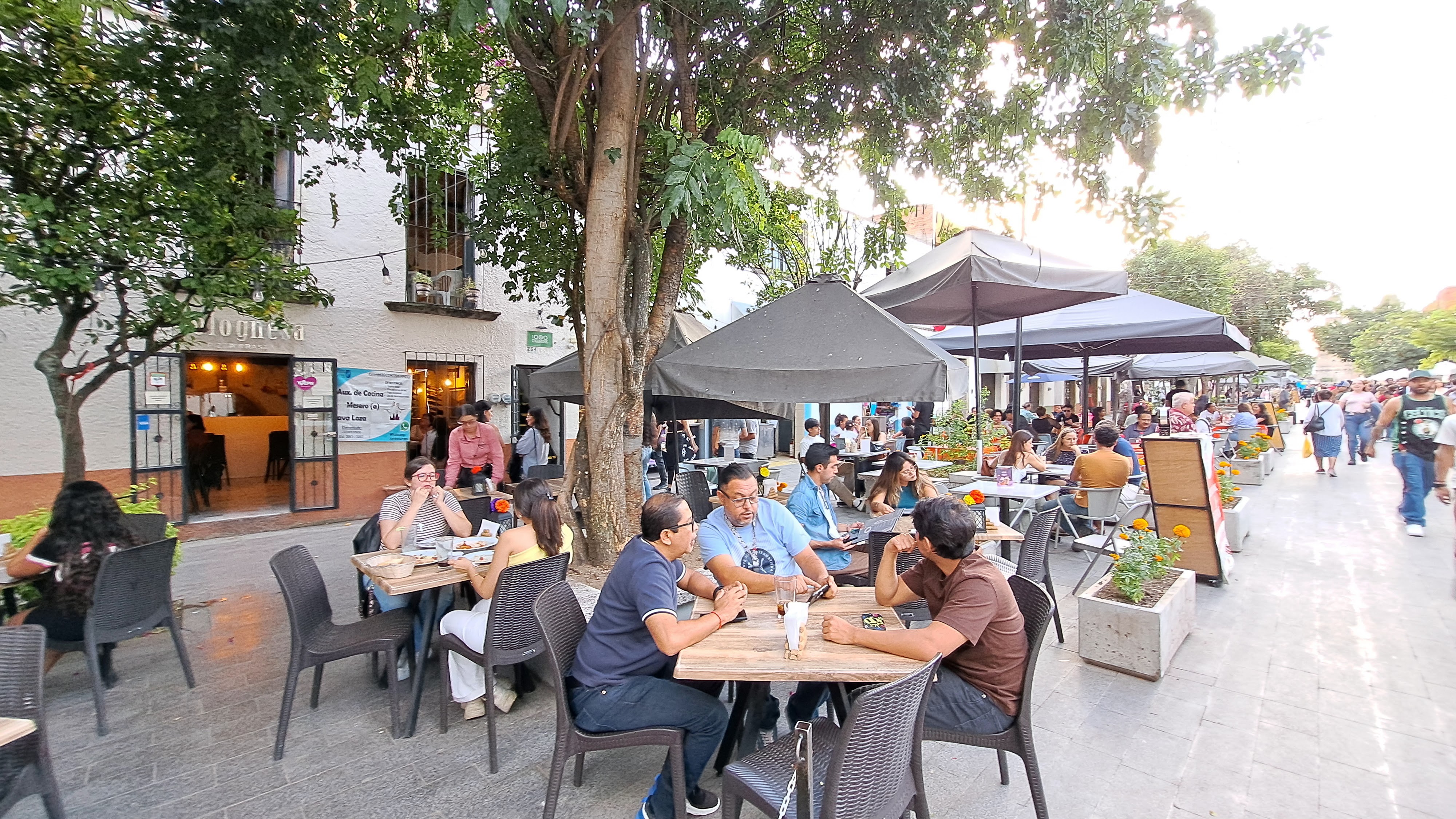 La Bolognesa image 1