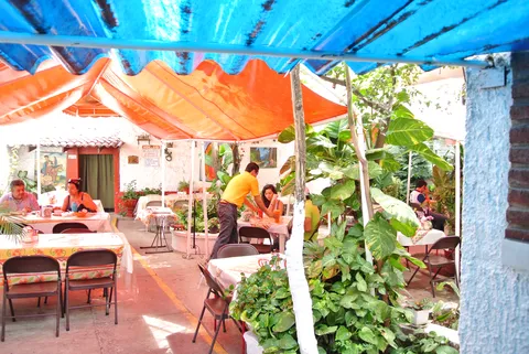 El Tropico image 1
