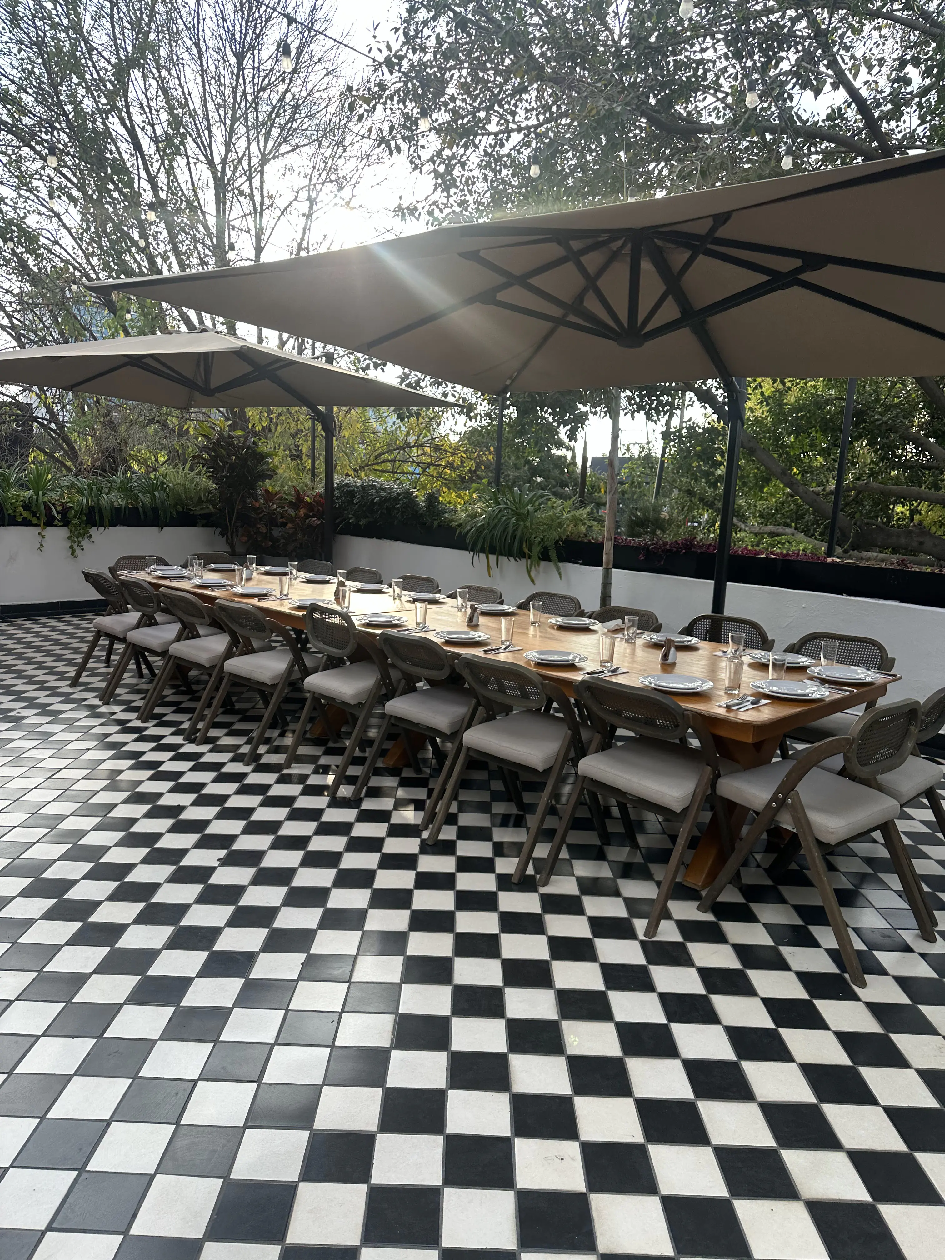 Café San Pedro - Chapalita image 2