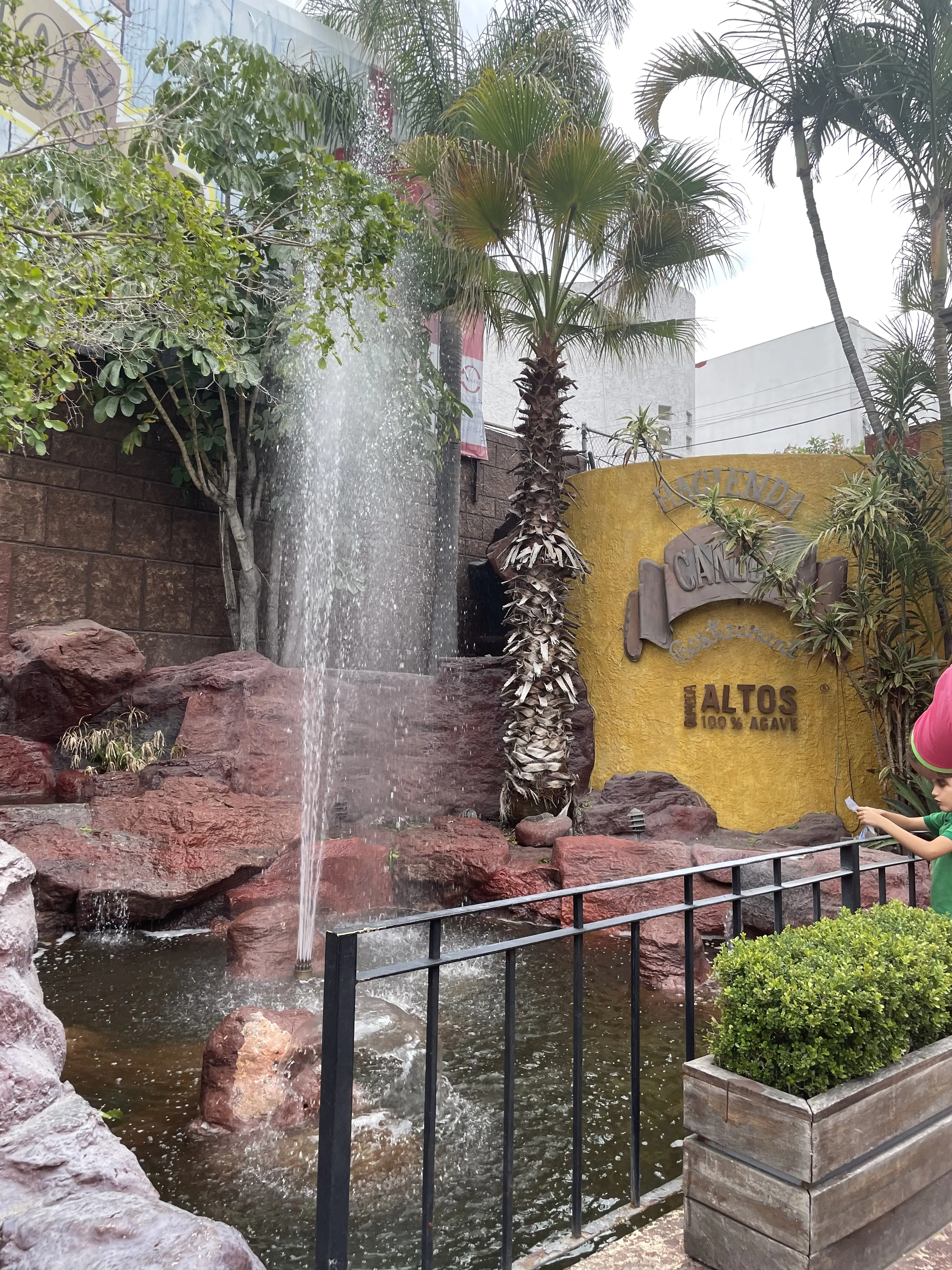 Hacienda Canelos image 10