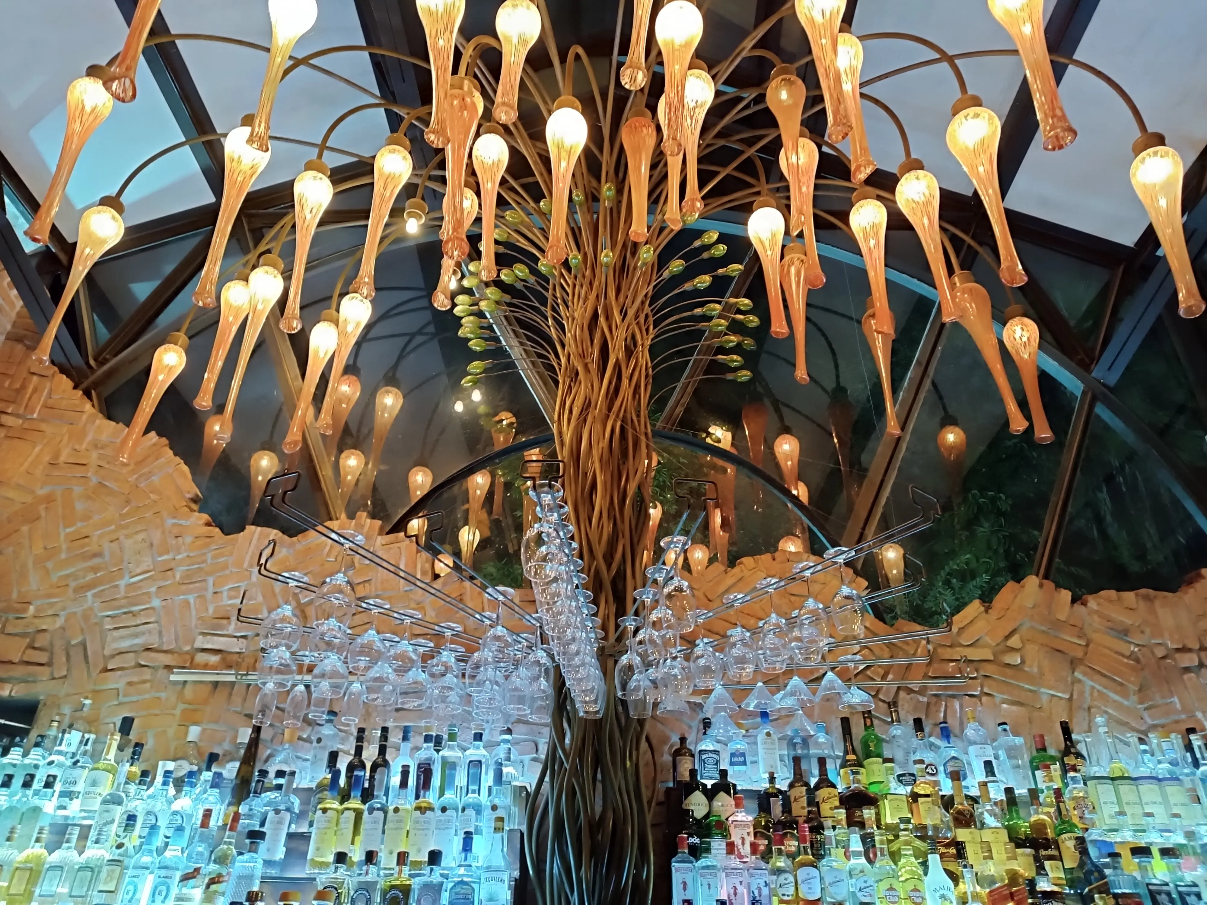 La Bocha Chapalita image 6