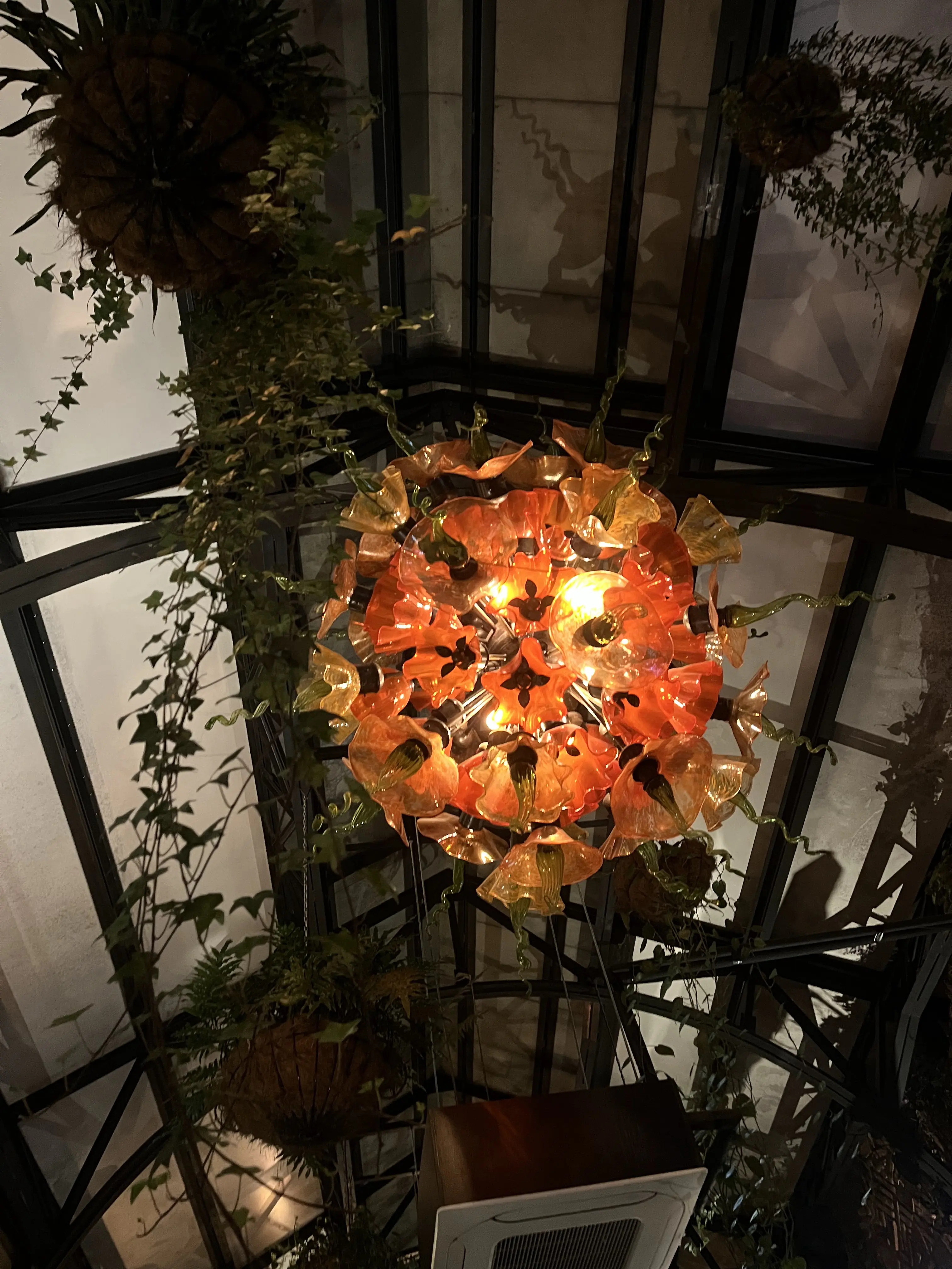 La Bocha Chapalita image 10