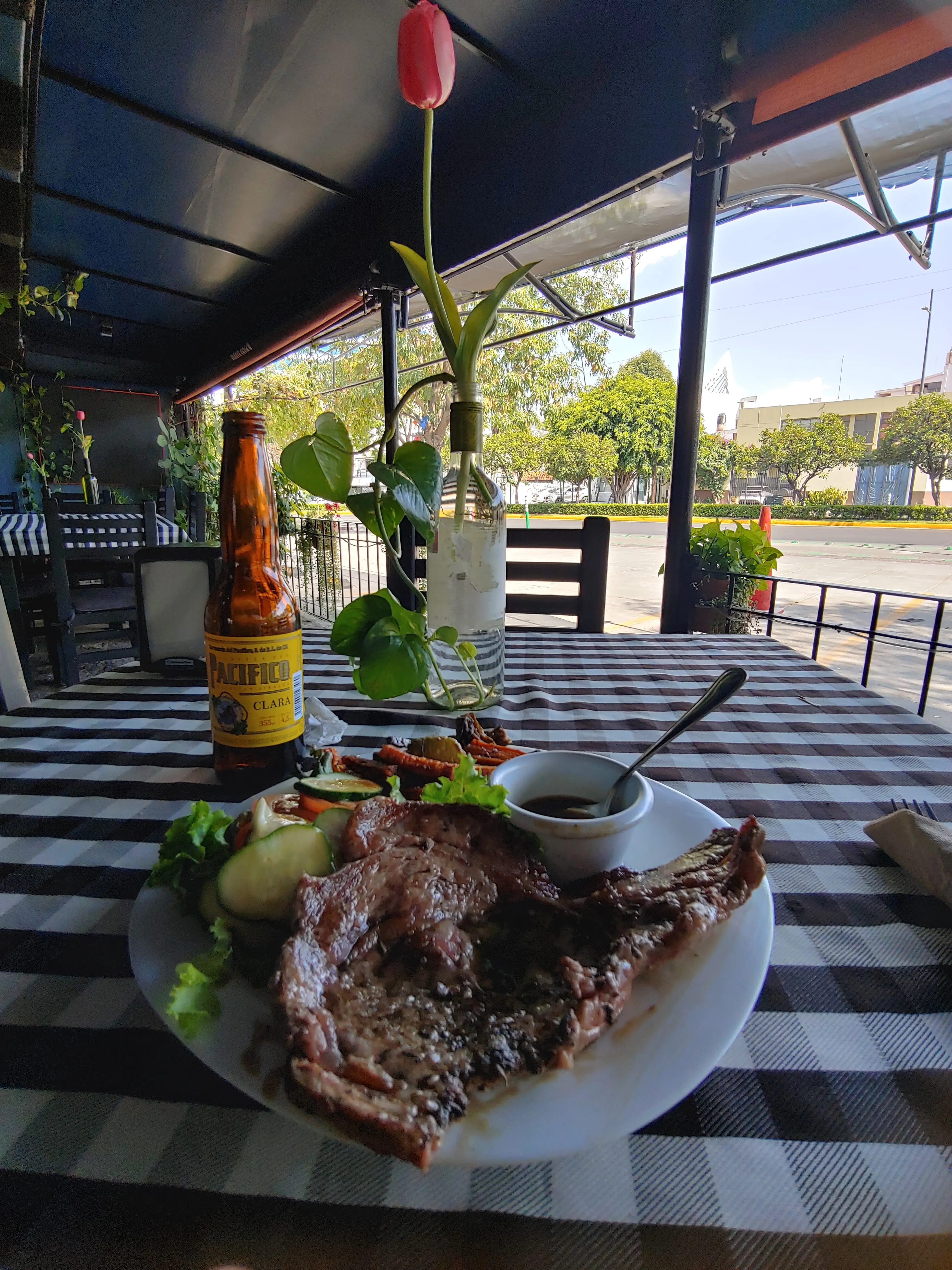 Qué mona está la MONA image 6