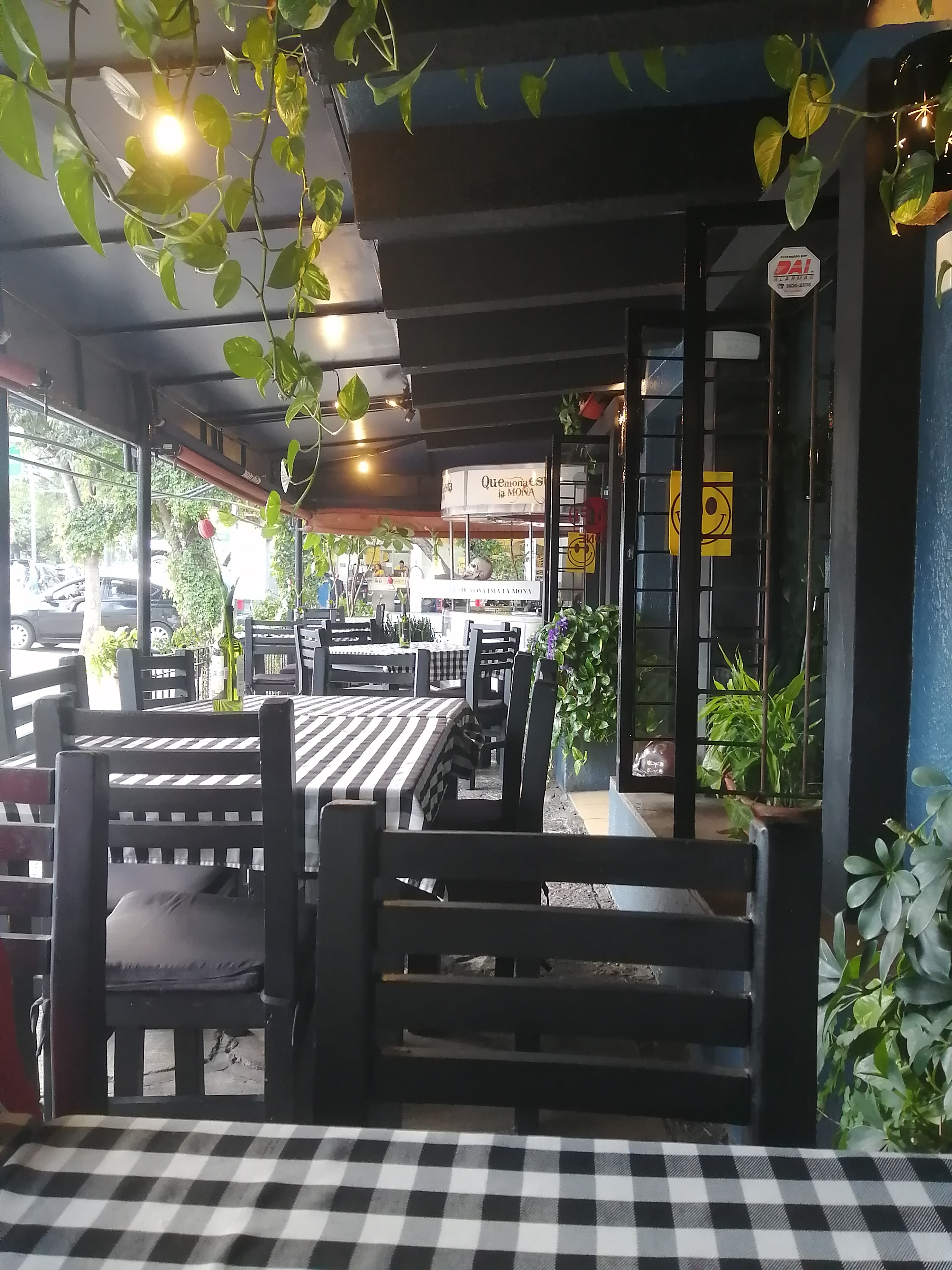 Qué mona está la MONA image 7