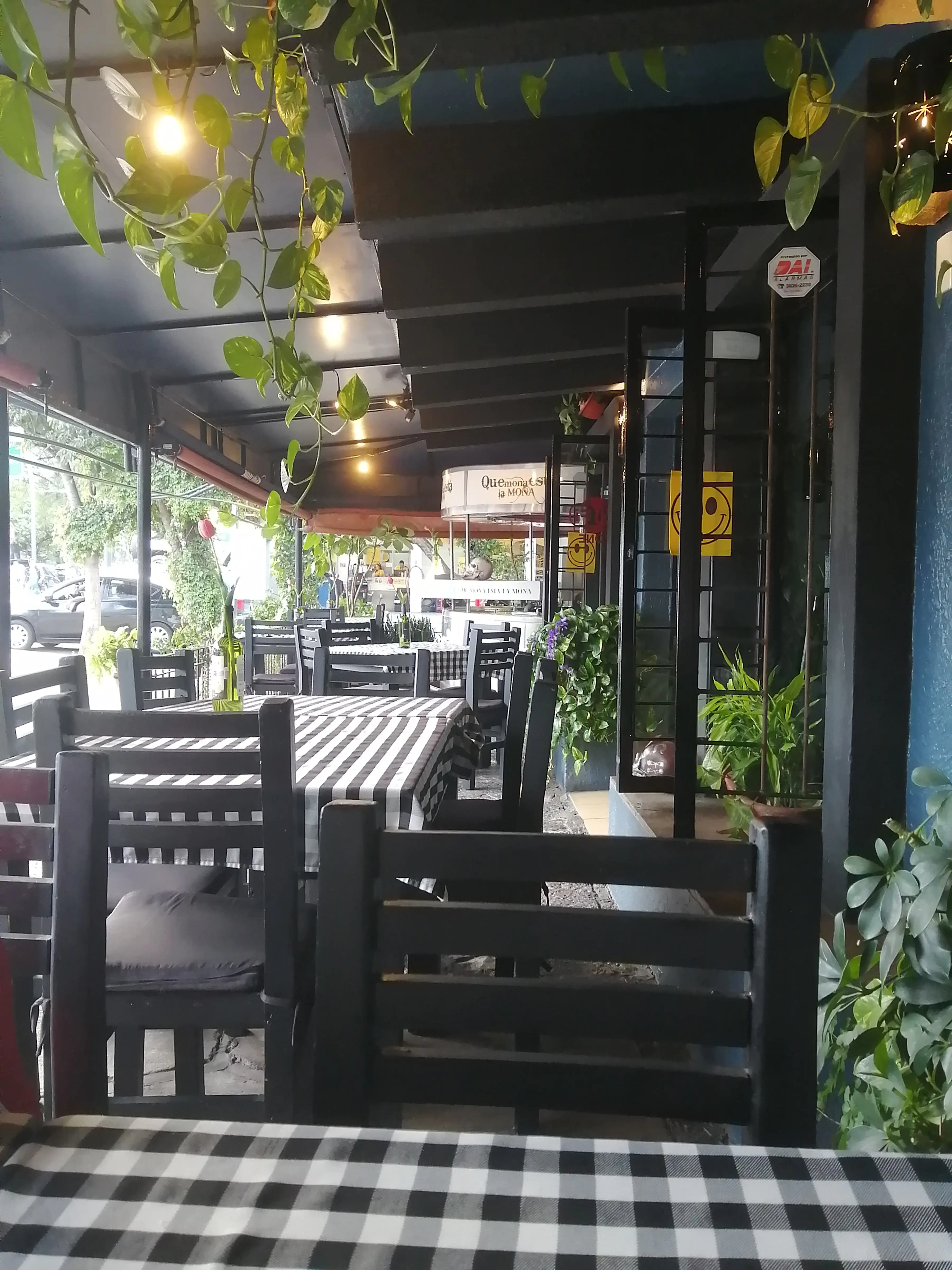 Qué mona está la MONA image 7