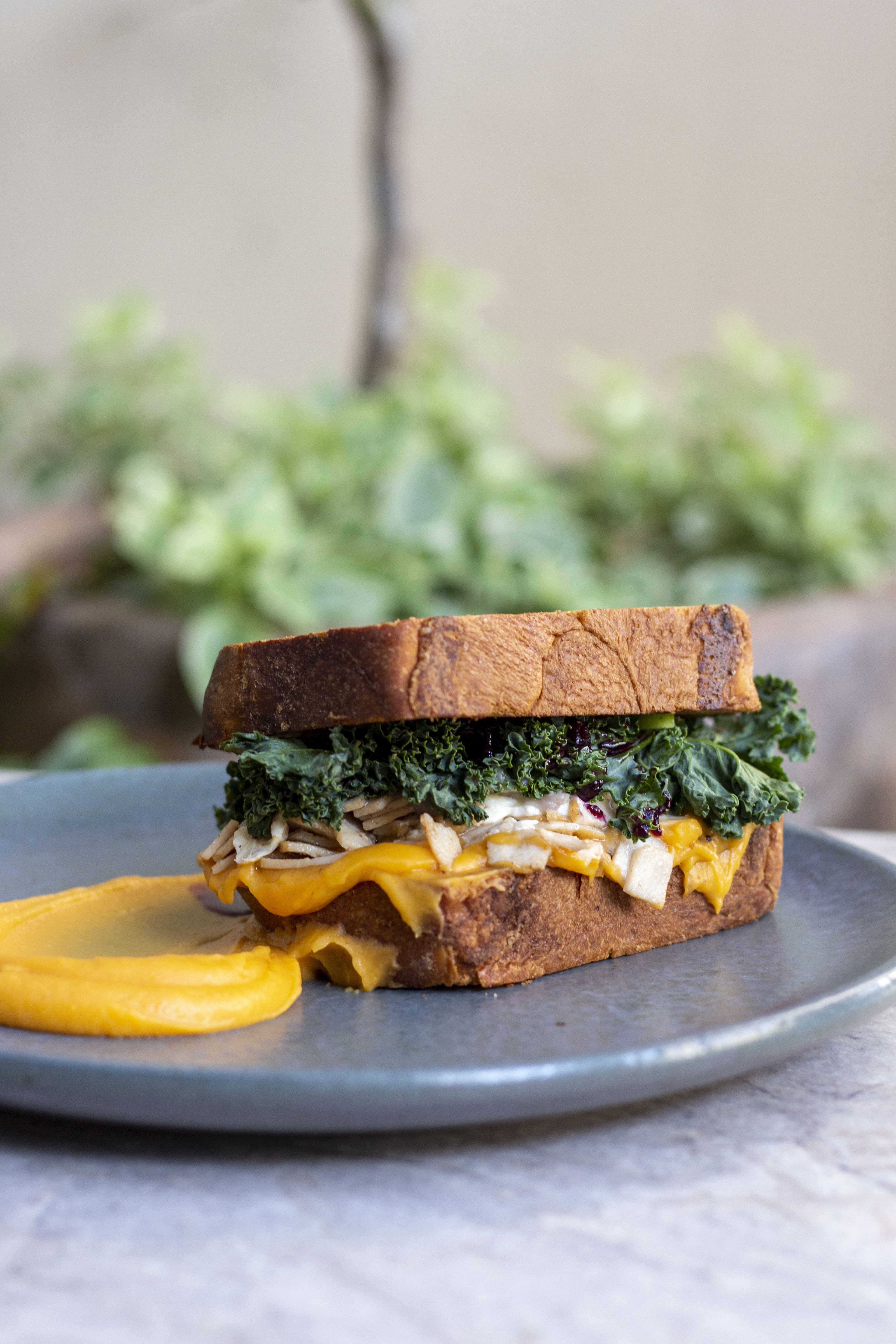 SANOPECADO | CHAPALITA image 7