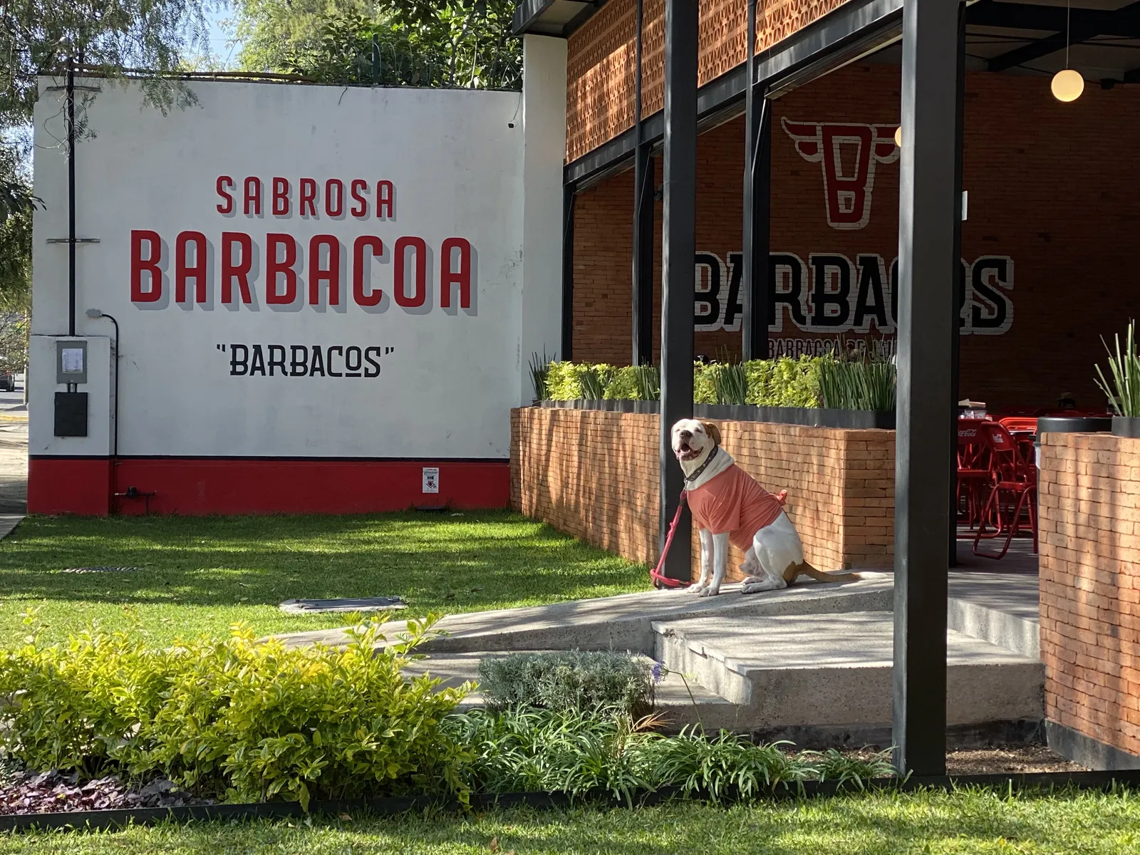 Barbacos image 1