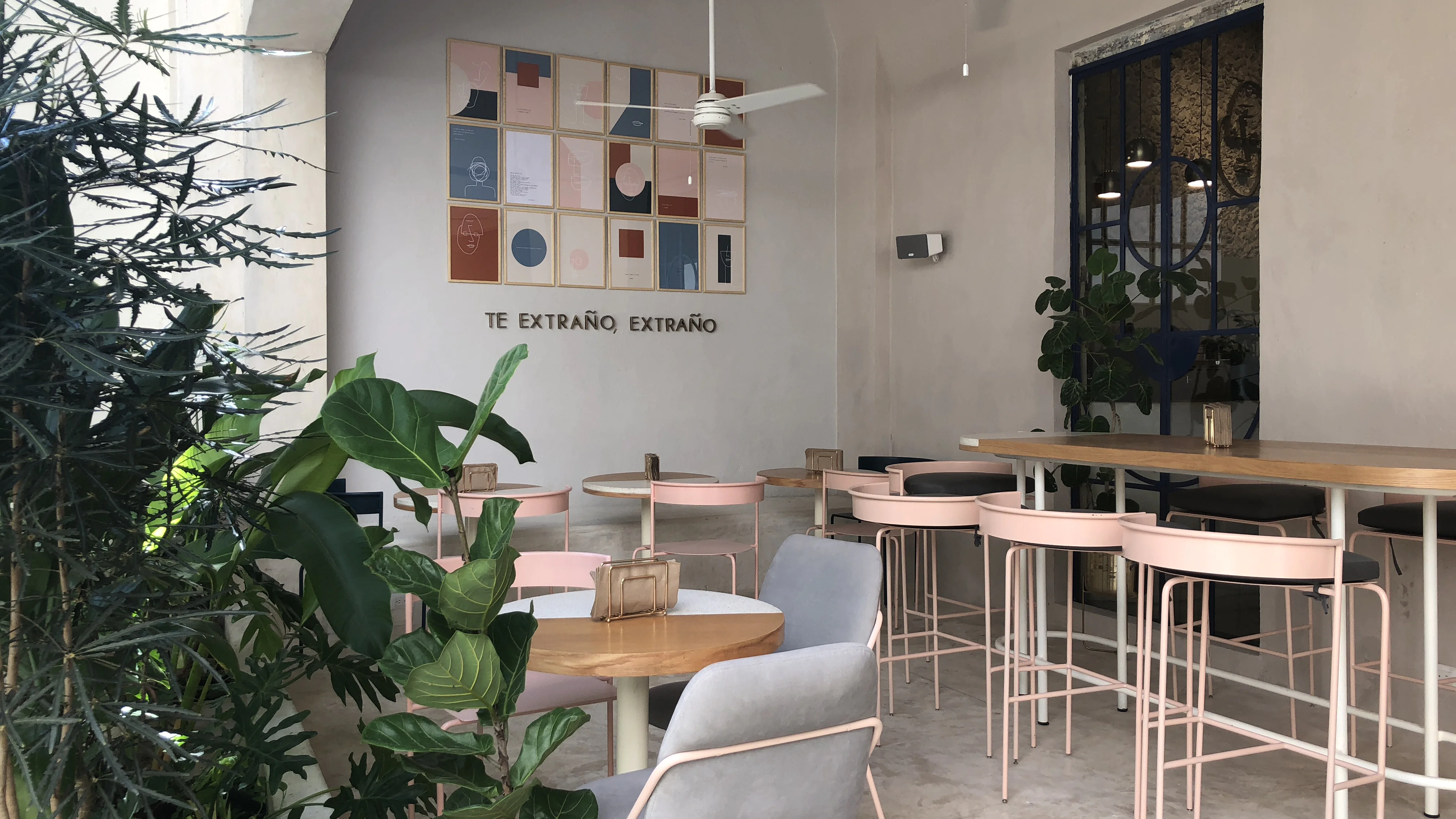 Te Extraño, Extraño. image 1