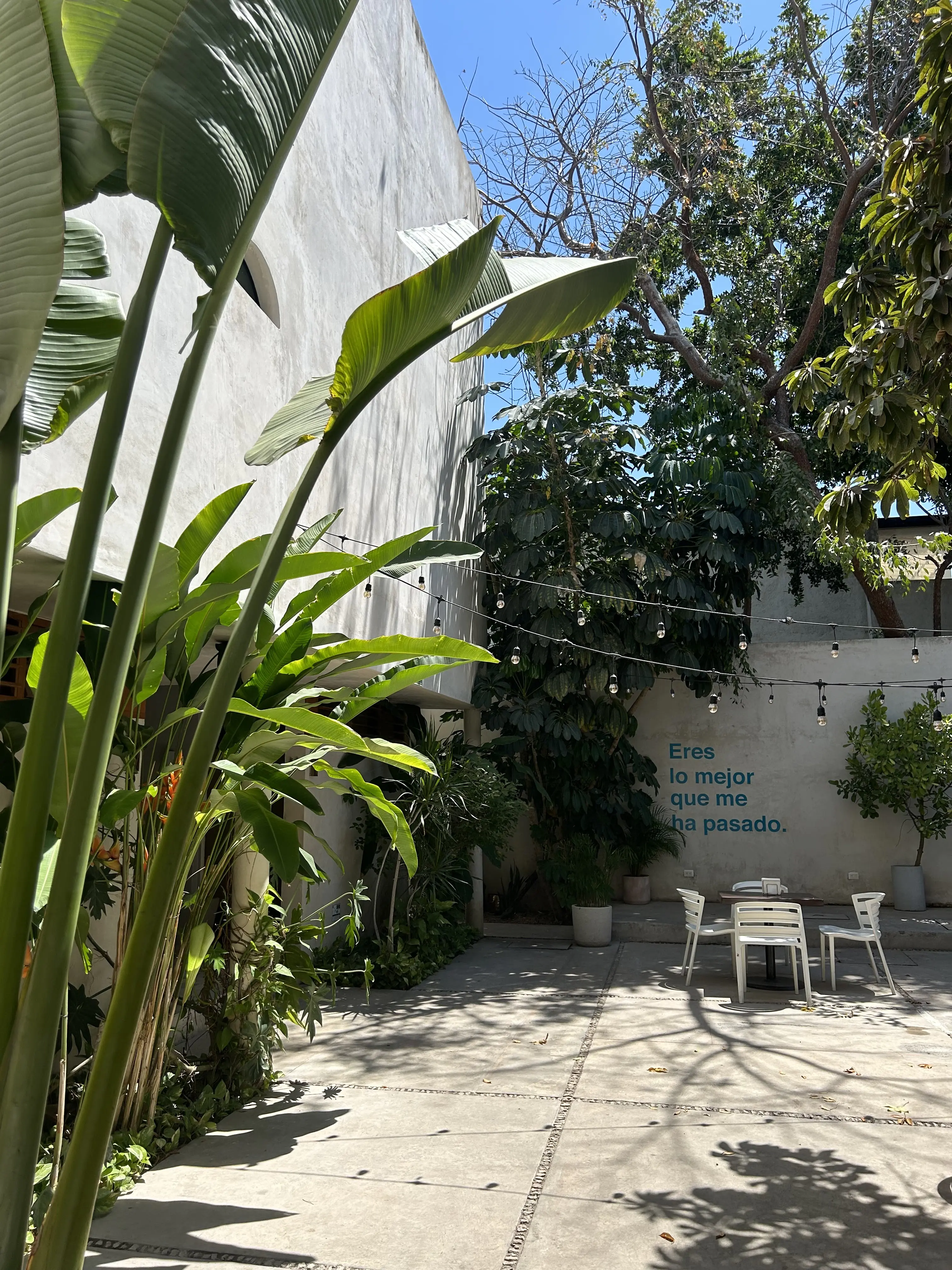 Te Extraño, Extraño. image 10