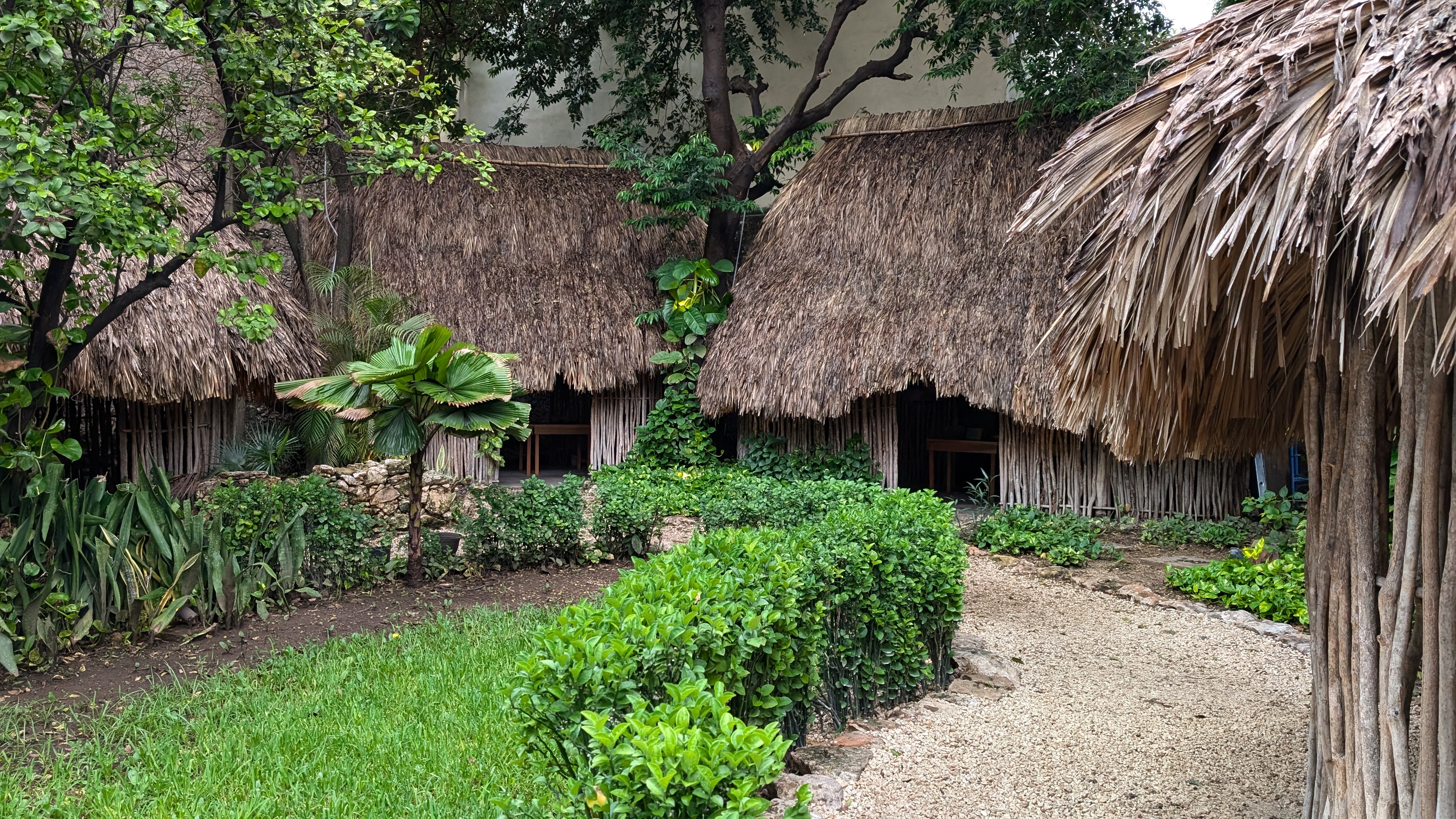Museum of Yucateca Gastronomy image 7