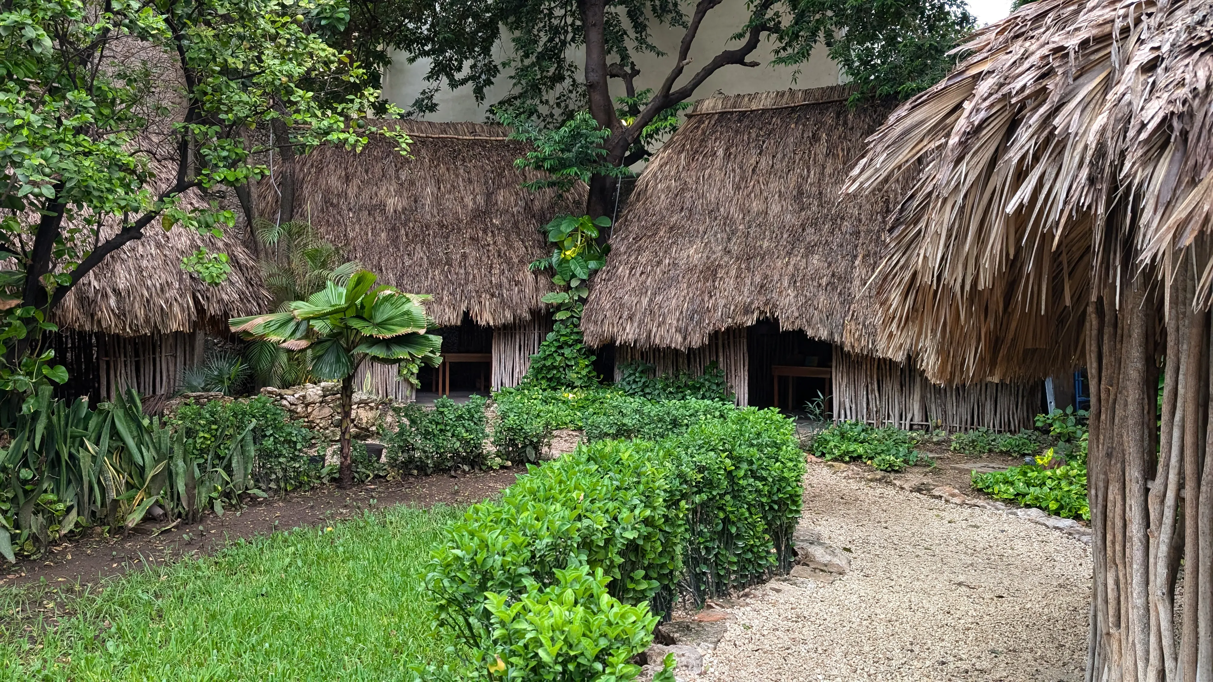 Museum of Yucateca Gastronomy image 7