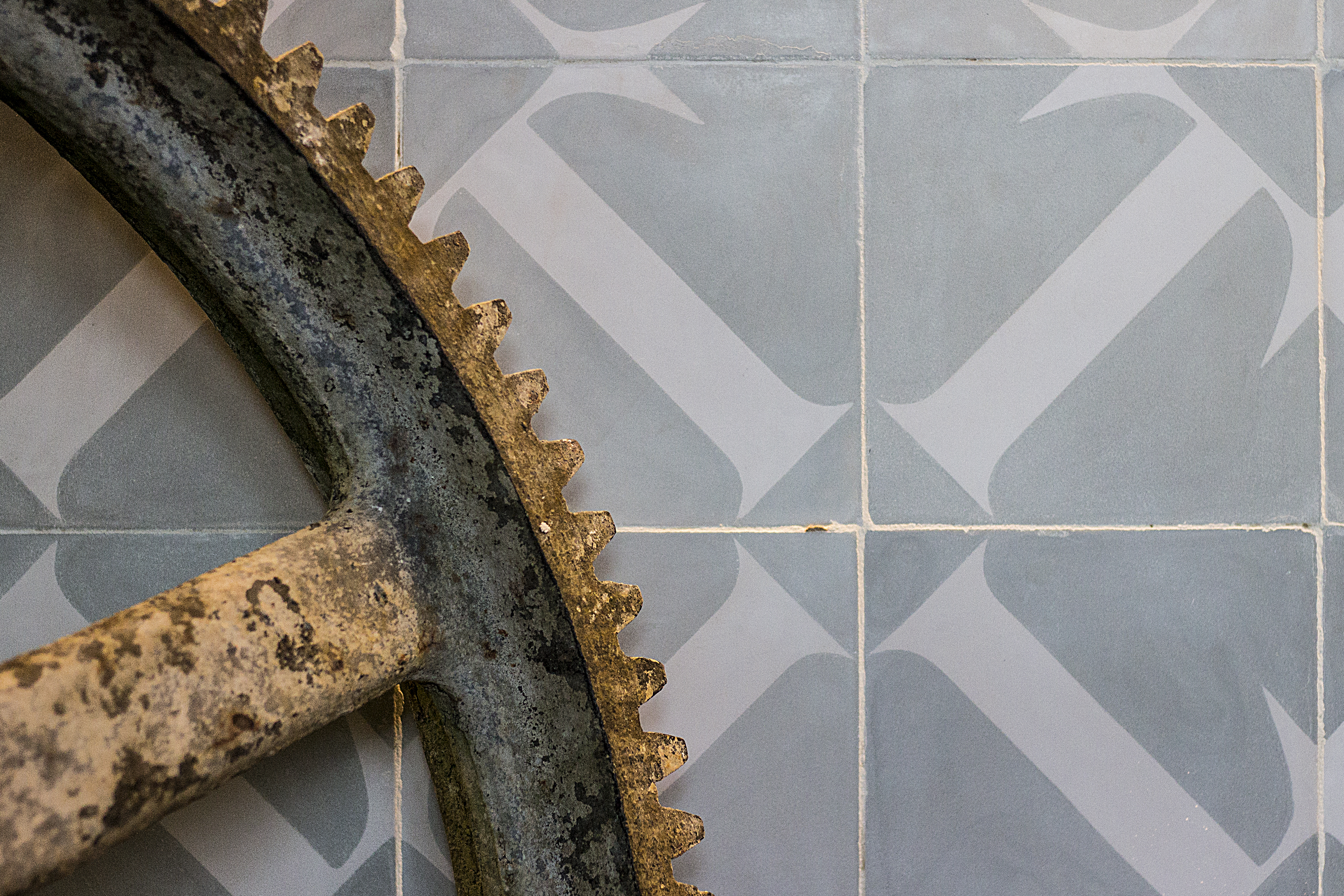 TEYA - Gastronomía Yucateca Viva image 6