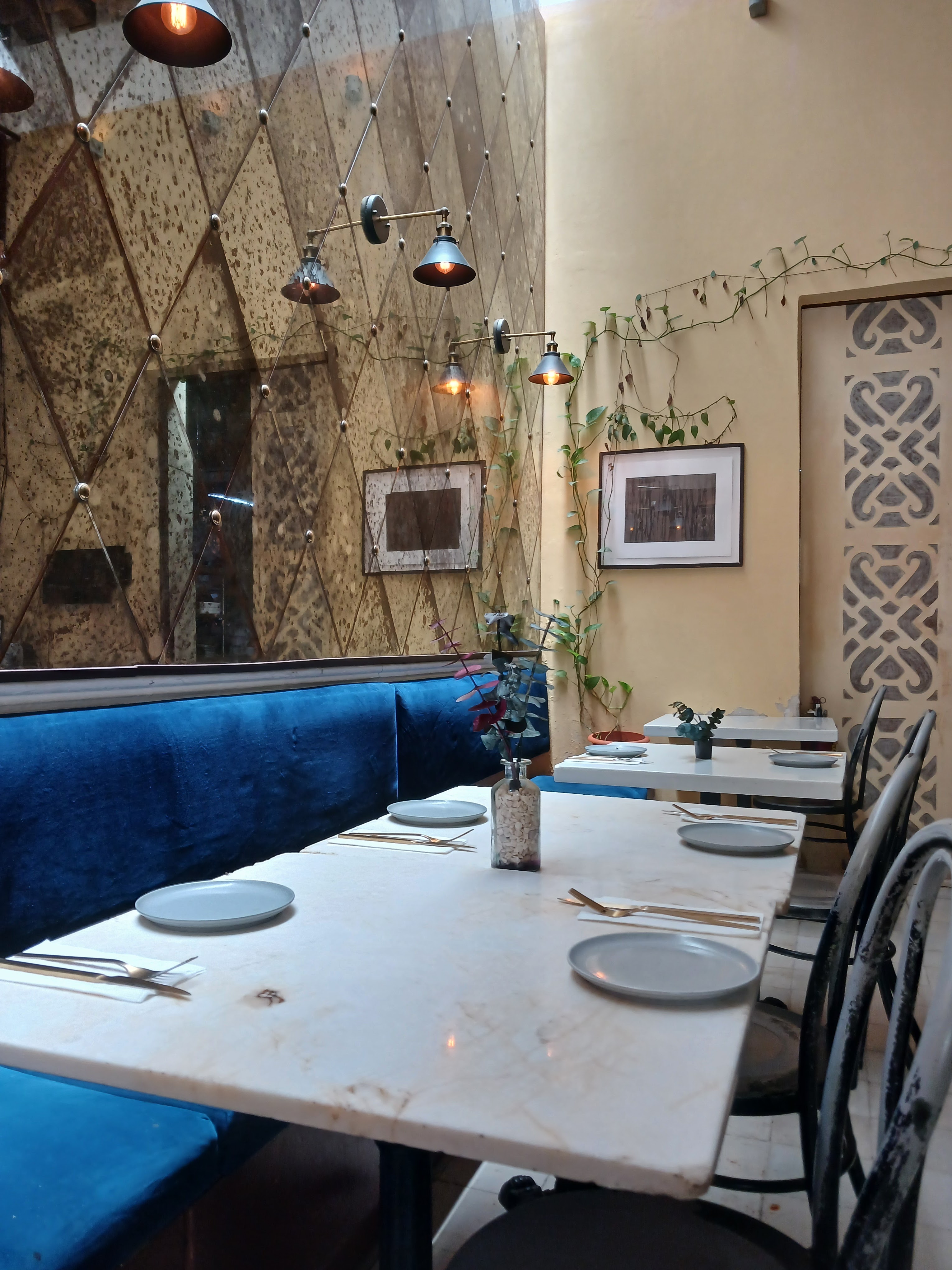 Rosa Sur 32° image 4