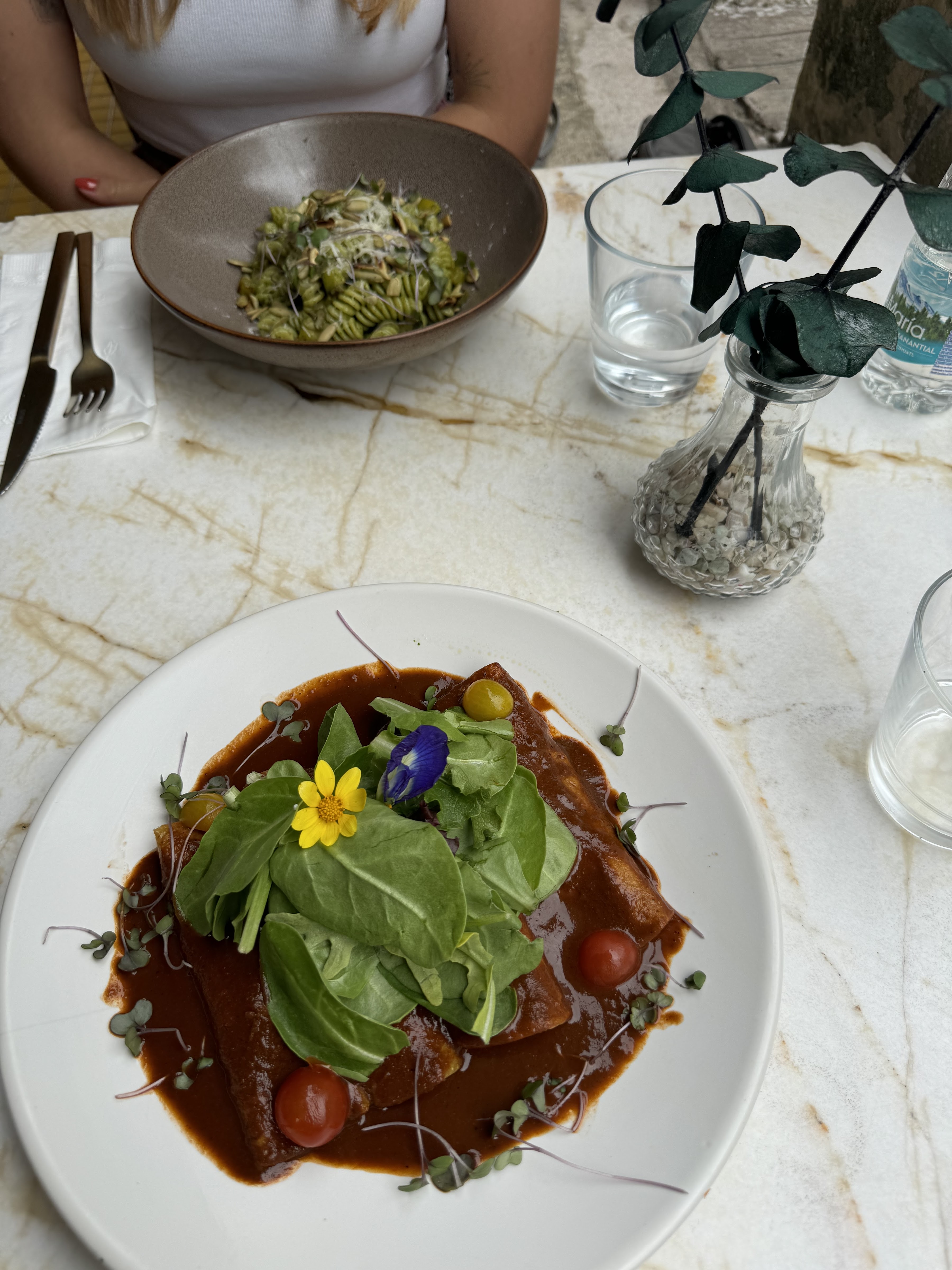 Rosa Sur 32° image 6