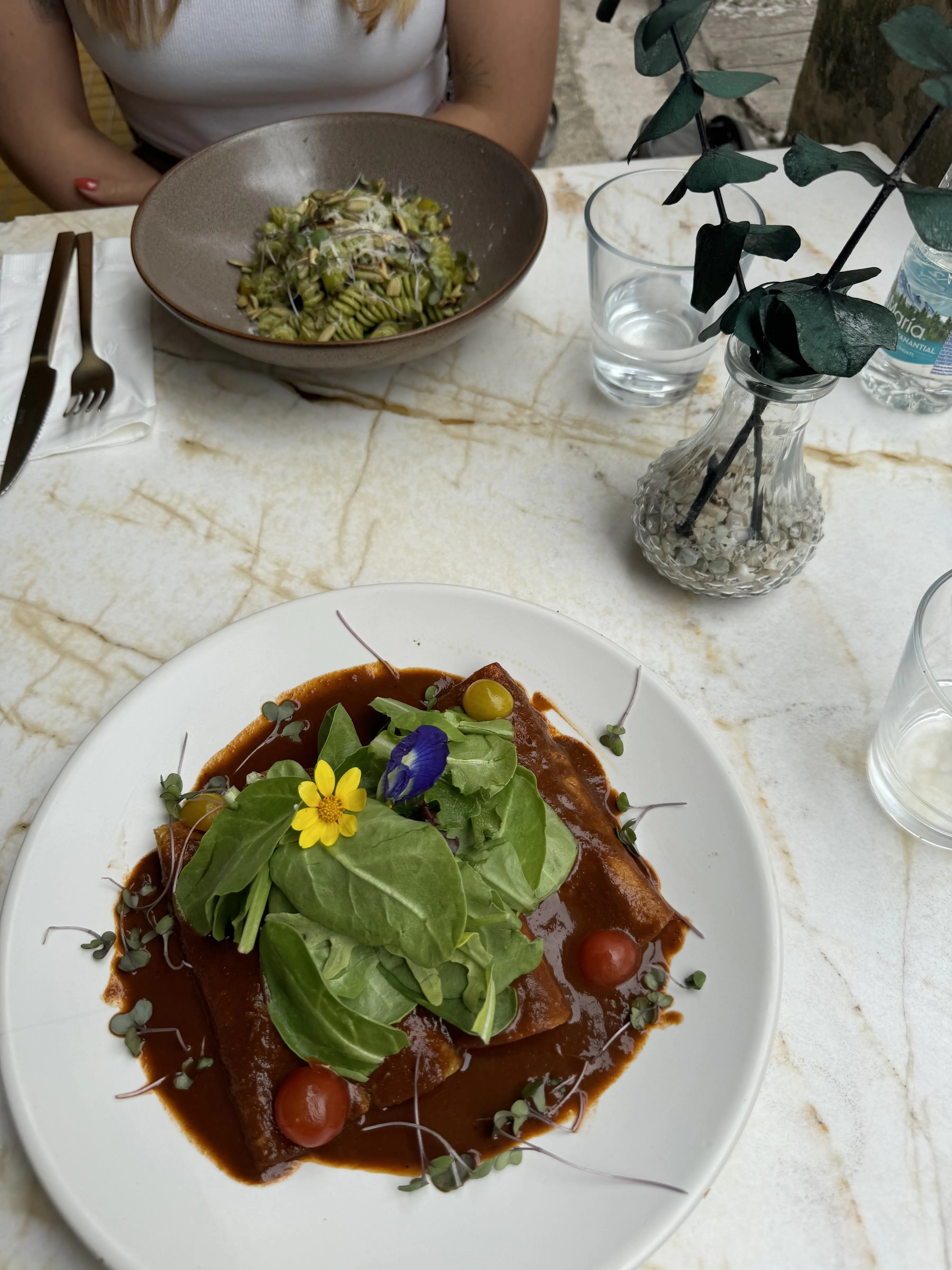 Rosa Sur 32° image 6