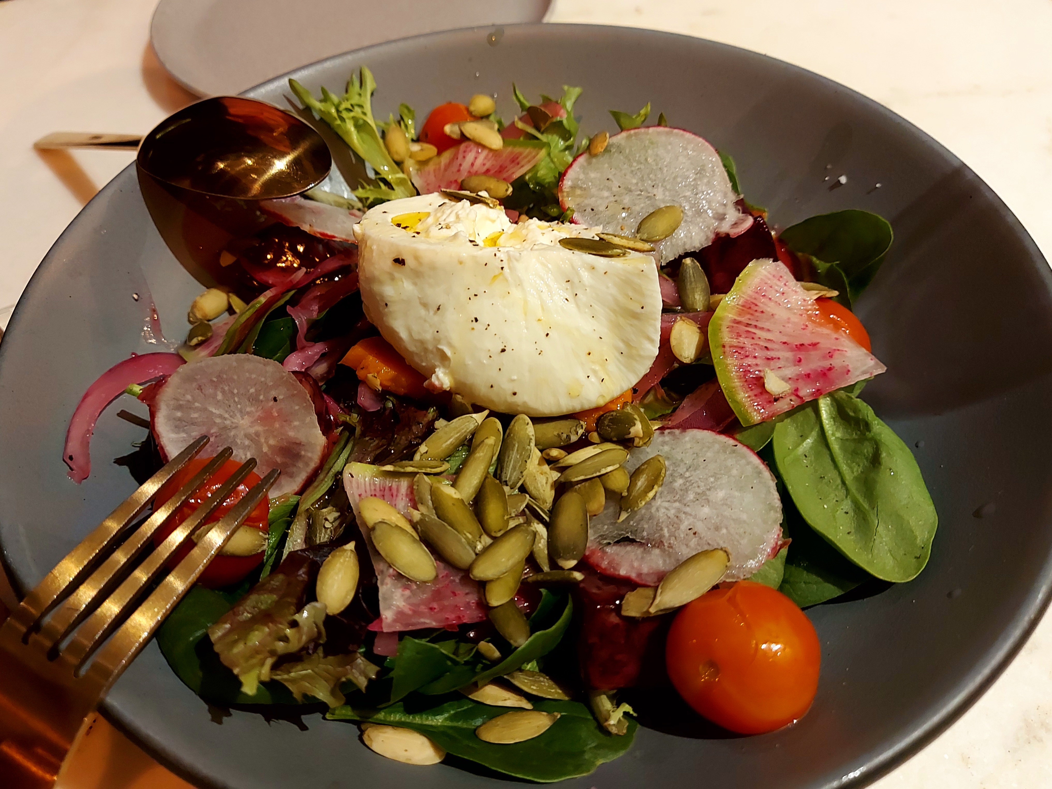 Rosa Sur 32° image 8