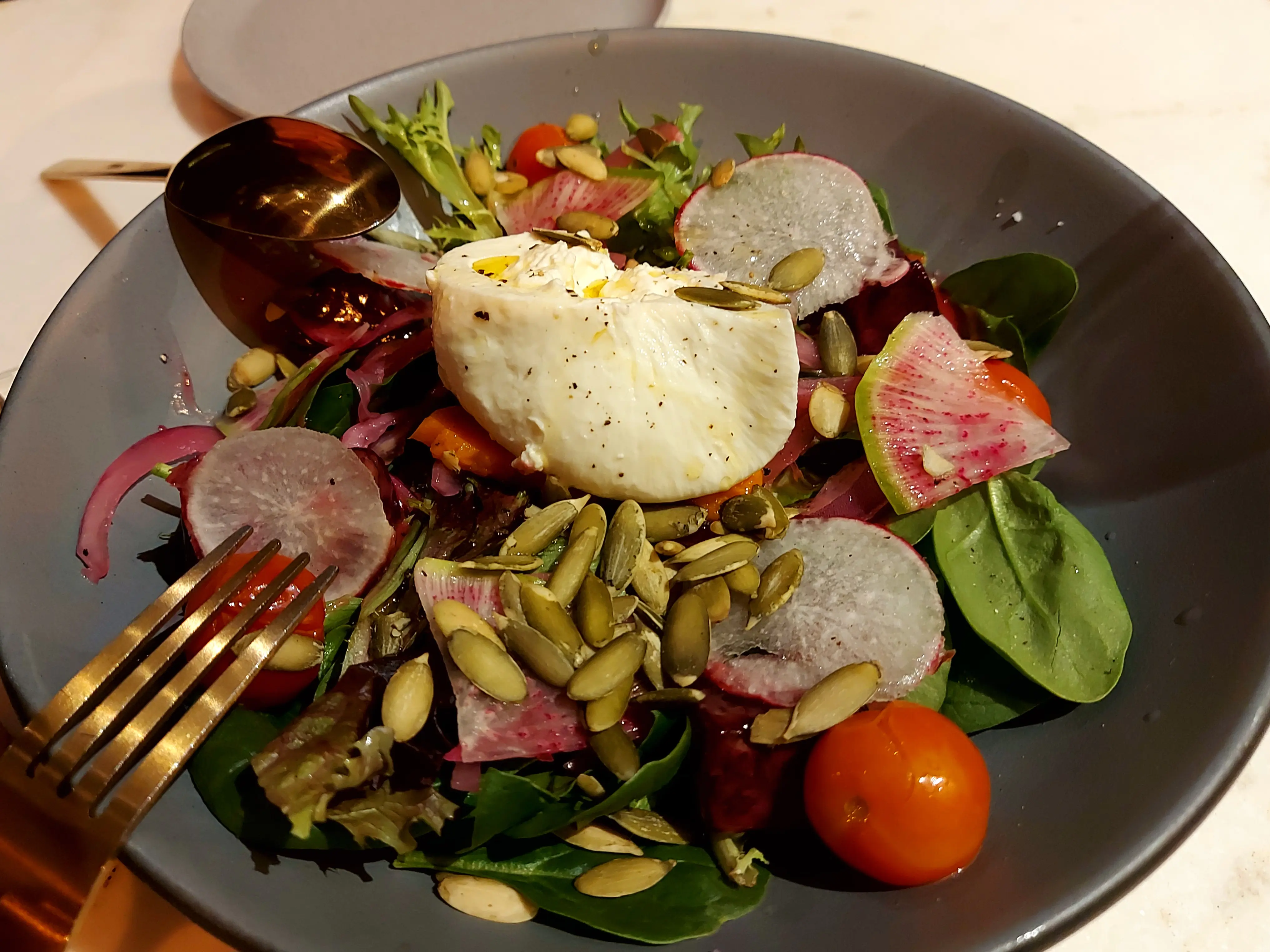 Rosa Sur 32° image 8