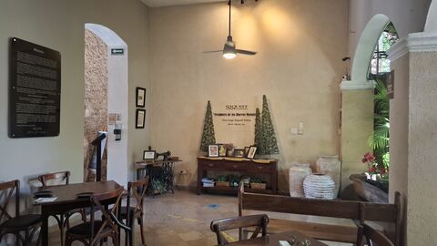 Siqueff image 5