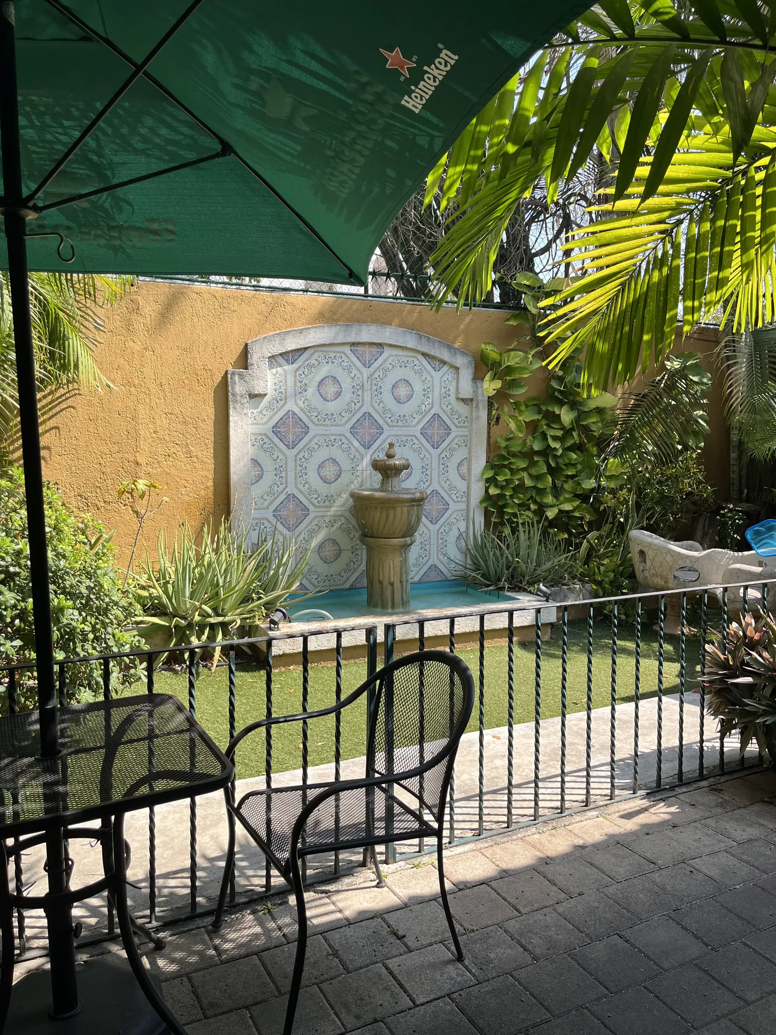Siqueff image 7
