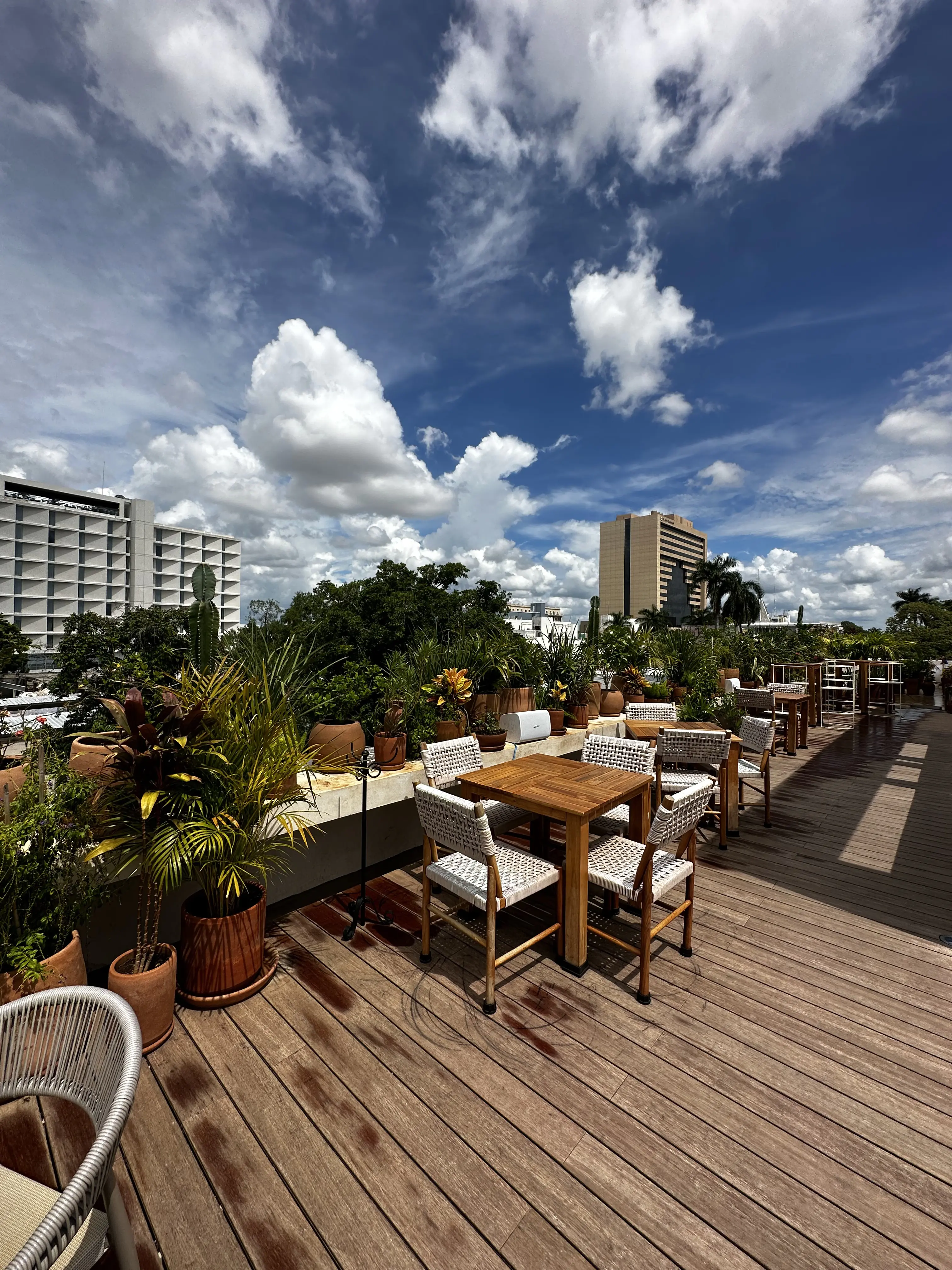 Restaurante La Mata image 1