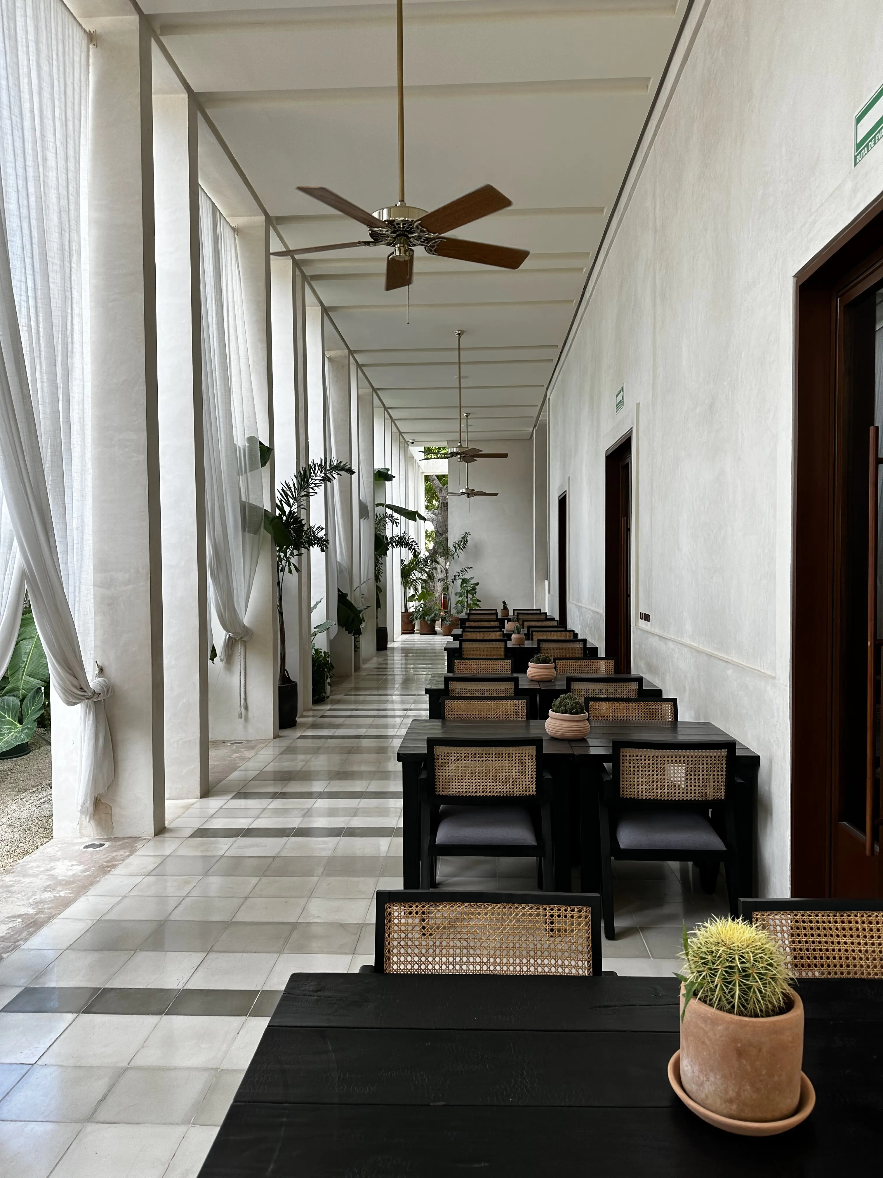 Restaurante La Mata image 5