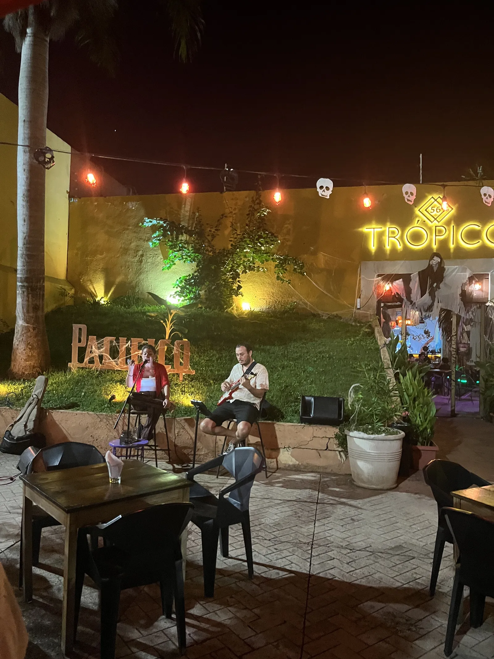 TROPICO 56 image 5
