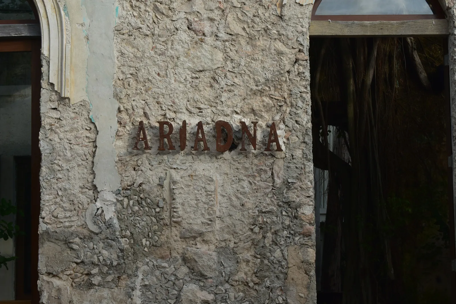 Ariadna Mérida image 3