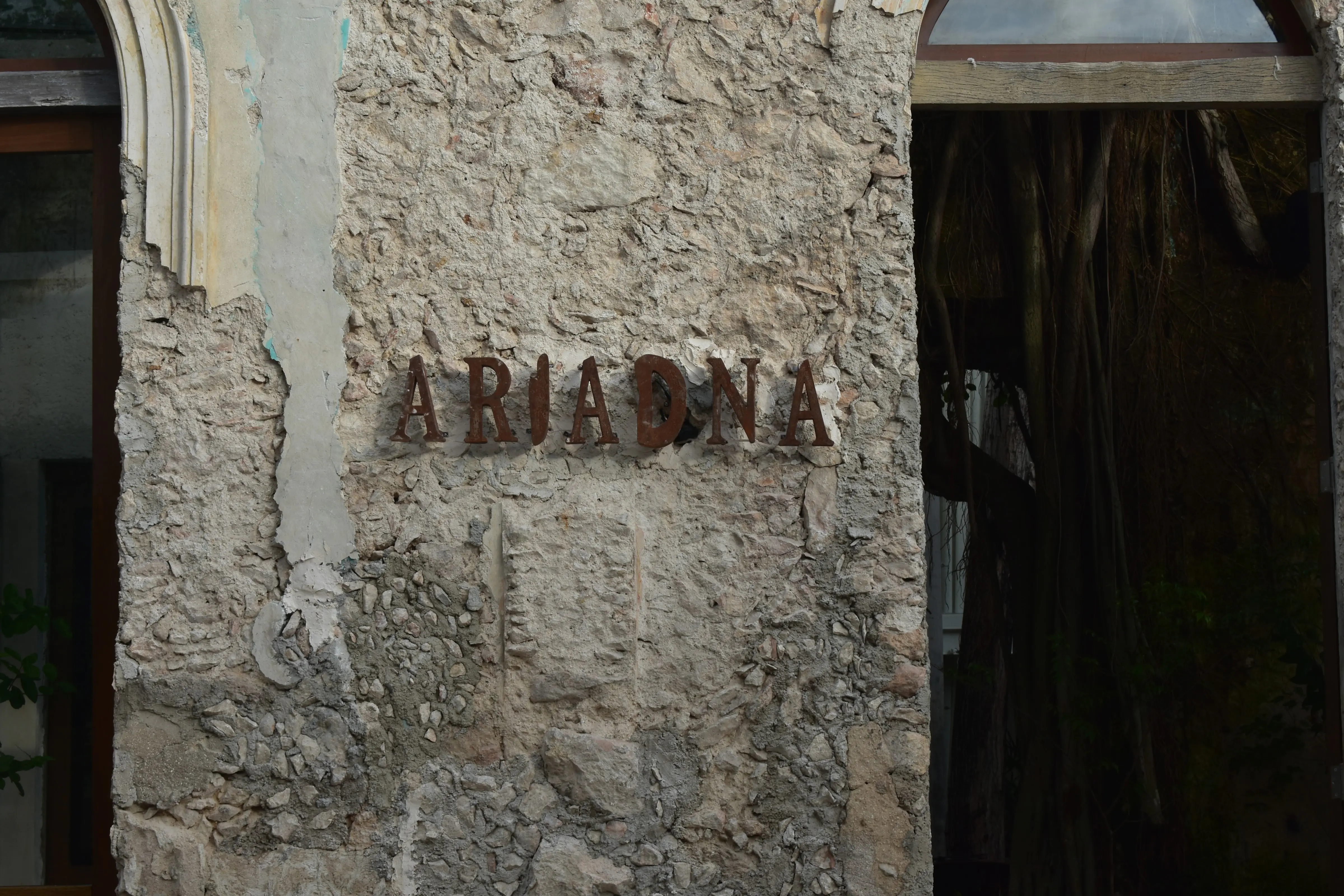 Ariadna Mérida image 3