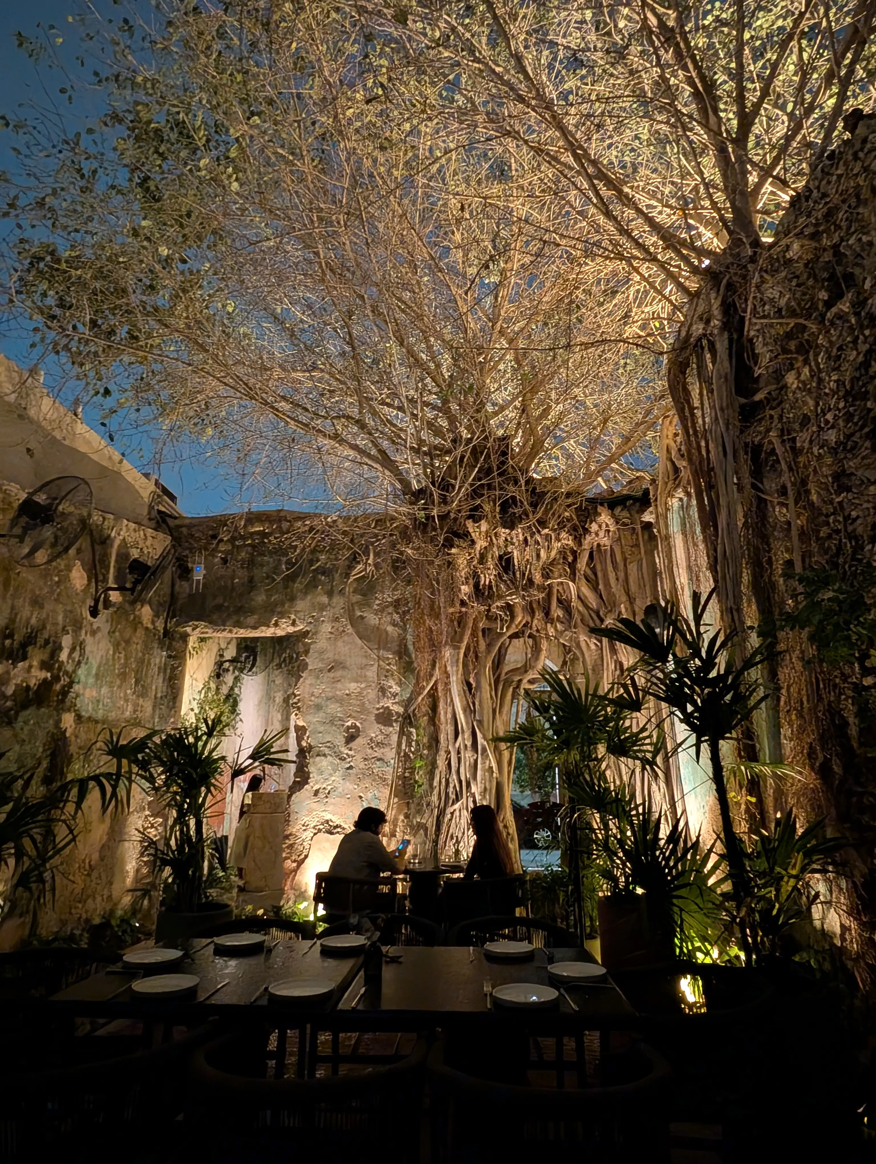 Ariadna Mérida image 7