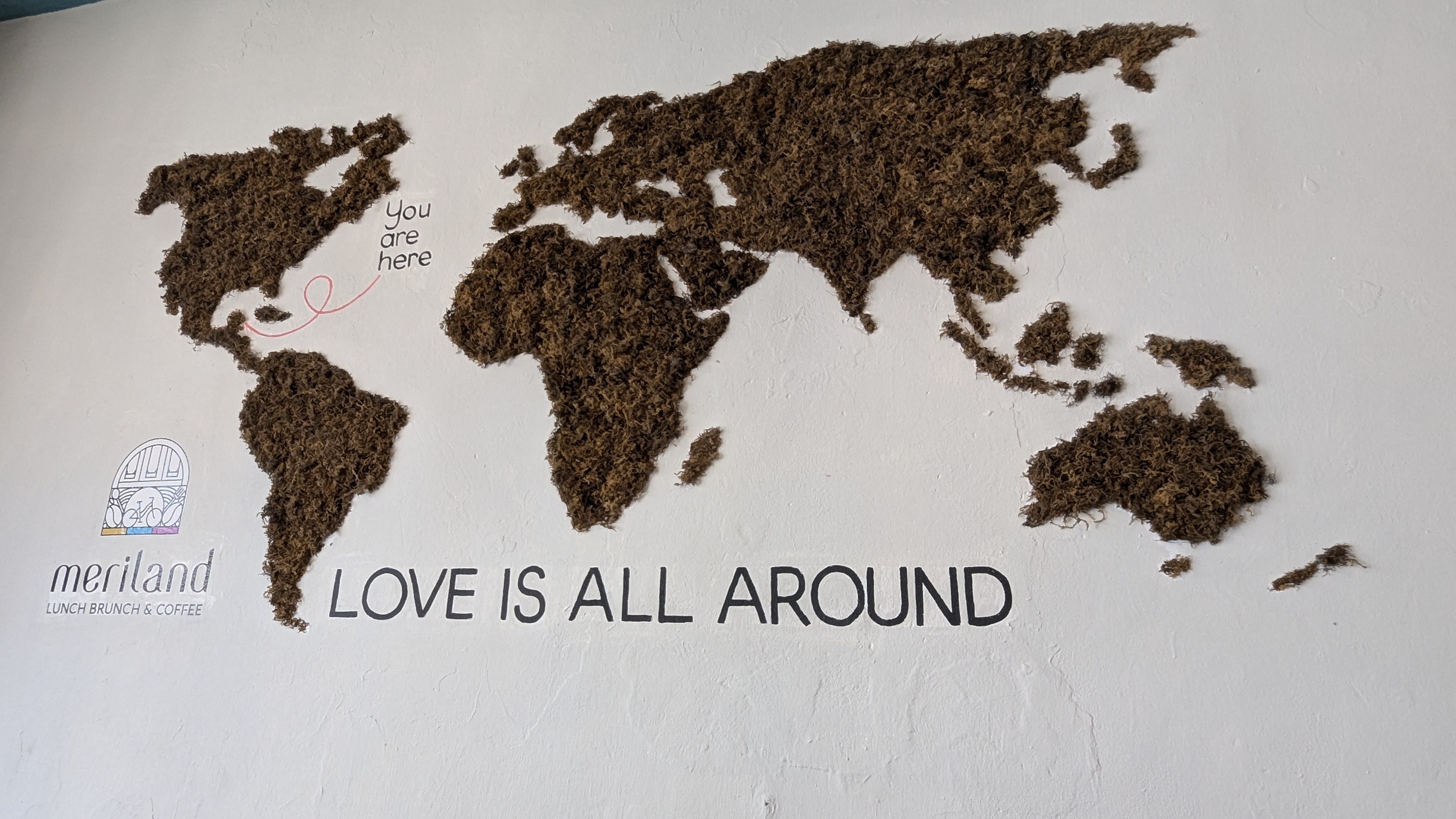 Meriland coffee image 4