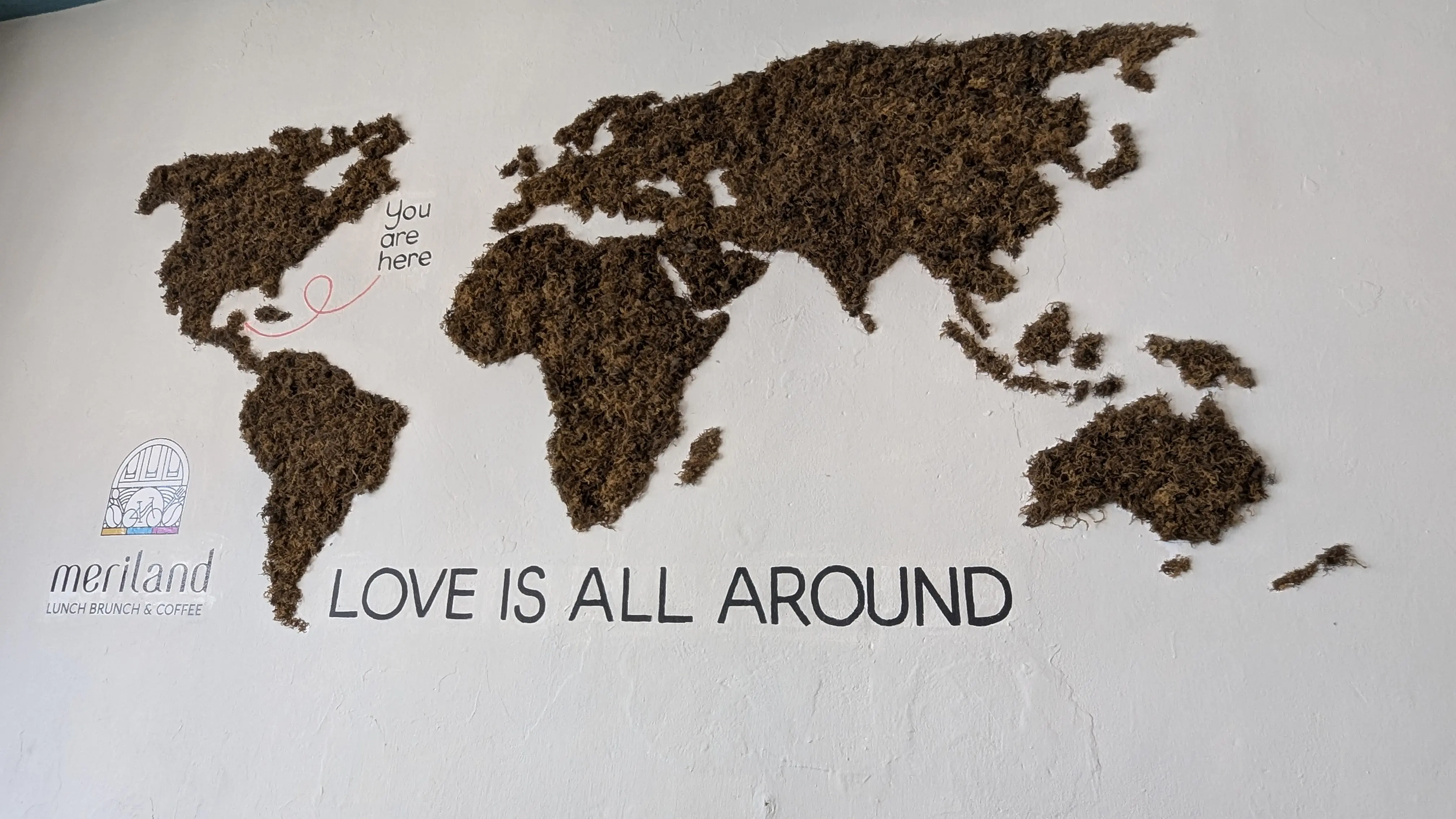 Meriland coffee image 4