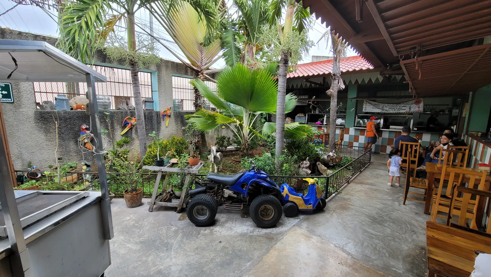 Wayan´e image 7