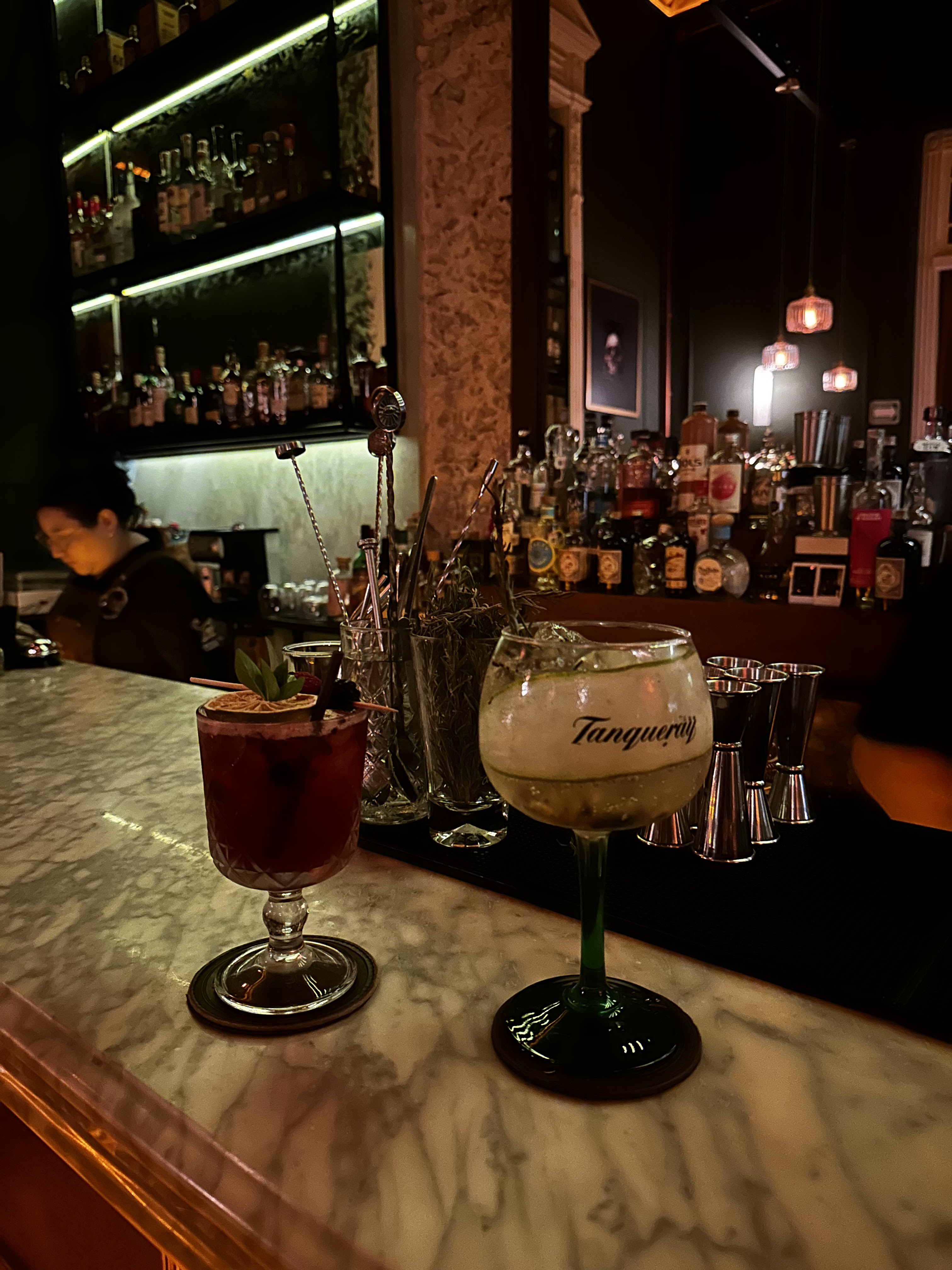 GIN 47 Mixology & Kitchen | Restaurant Bar Mérida Yucatán image 5