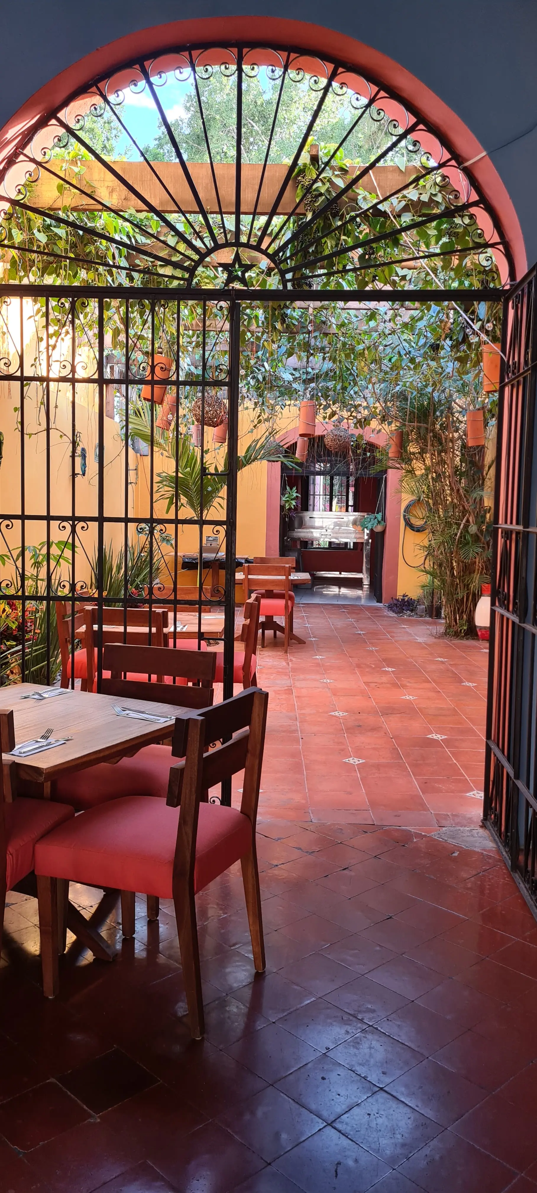 Taste Restaurant at Lou's image 7