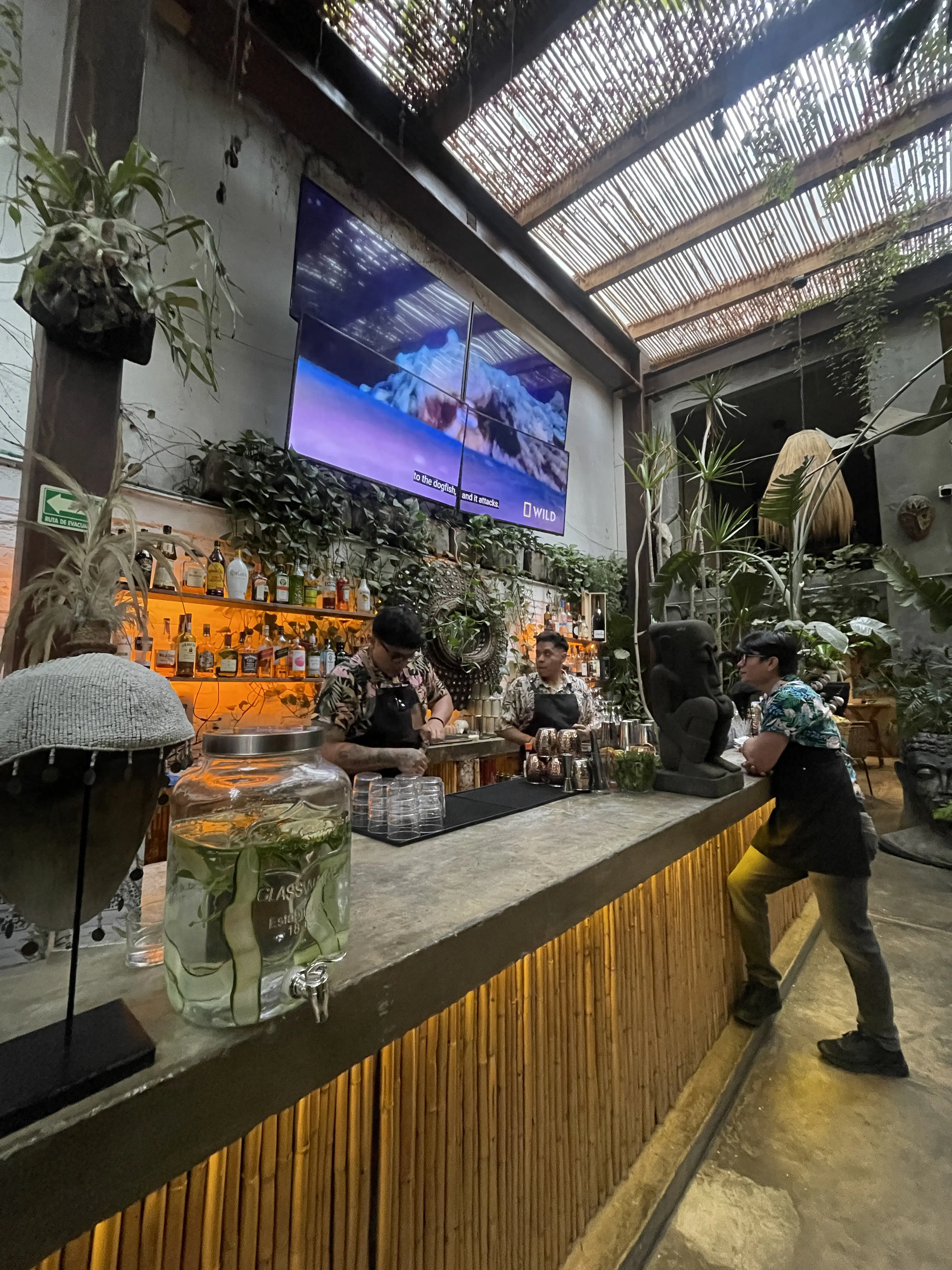 Restaurante Salvaje image 5