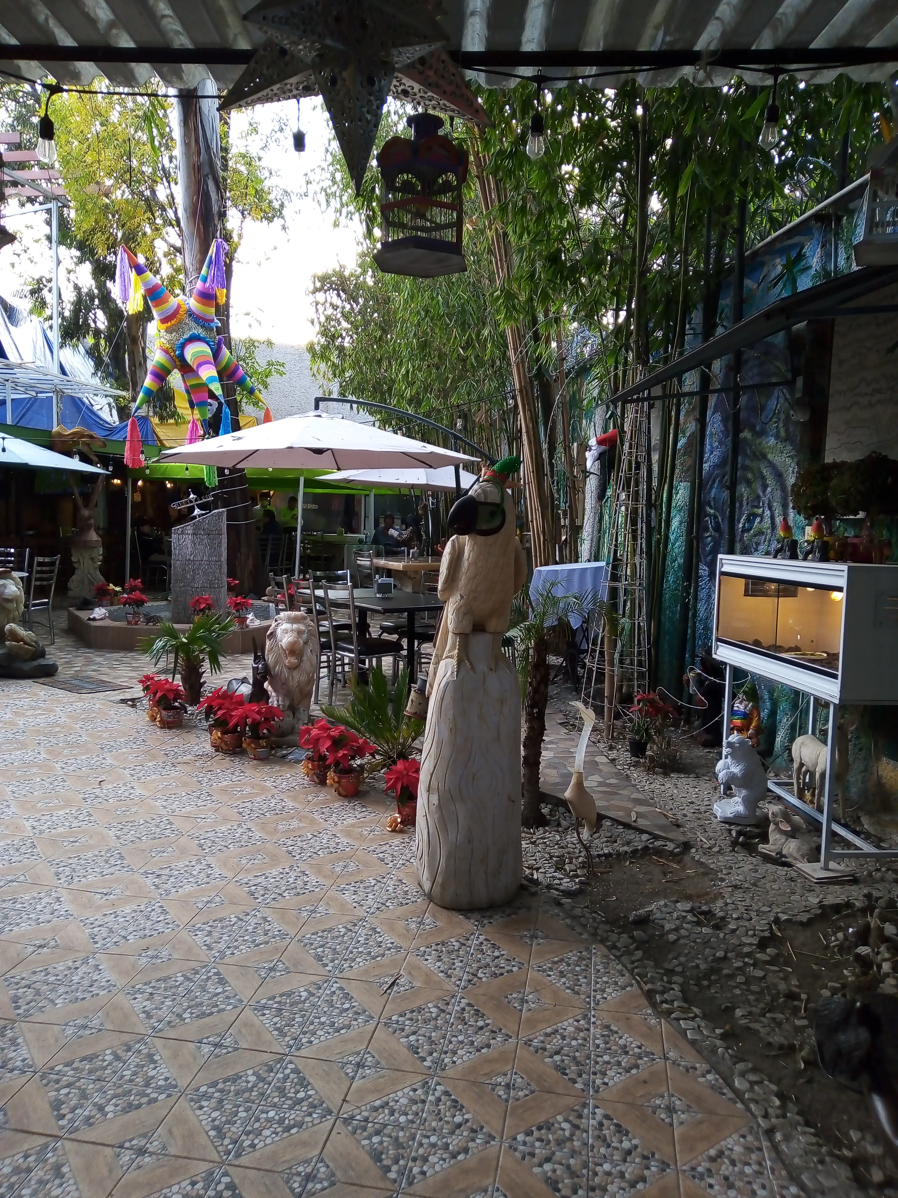 Isla Bamboo Restaurante image 1