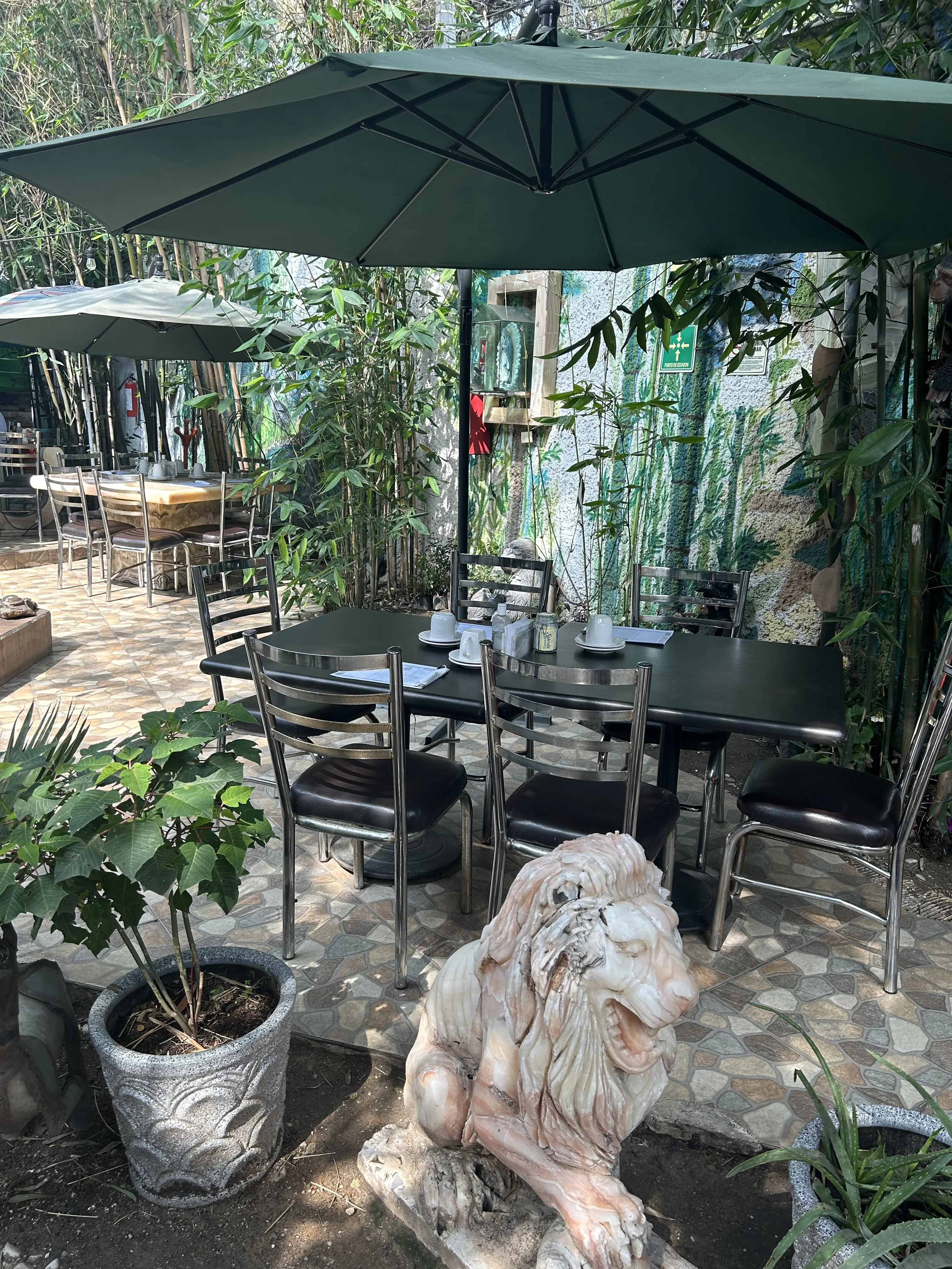 Isla Bamboo Restaurante image 3