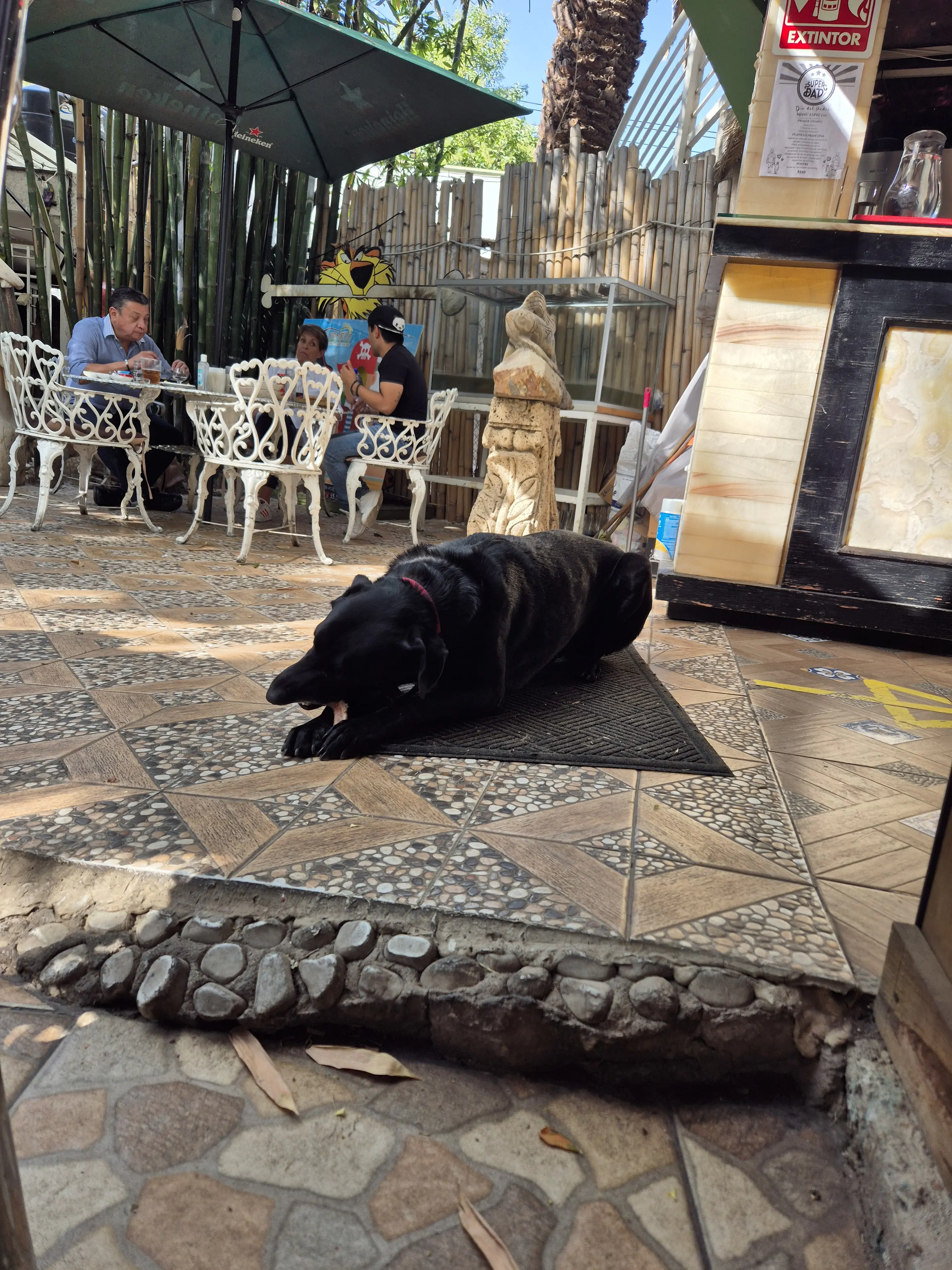 Isla Bamboo Restaurante image 4