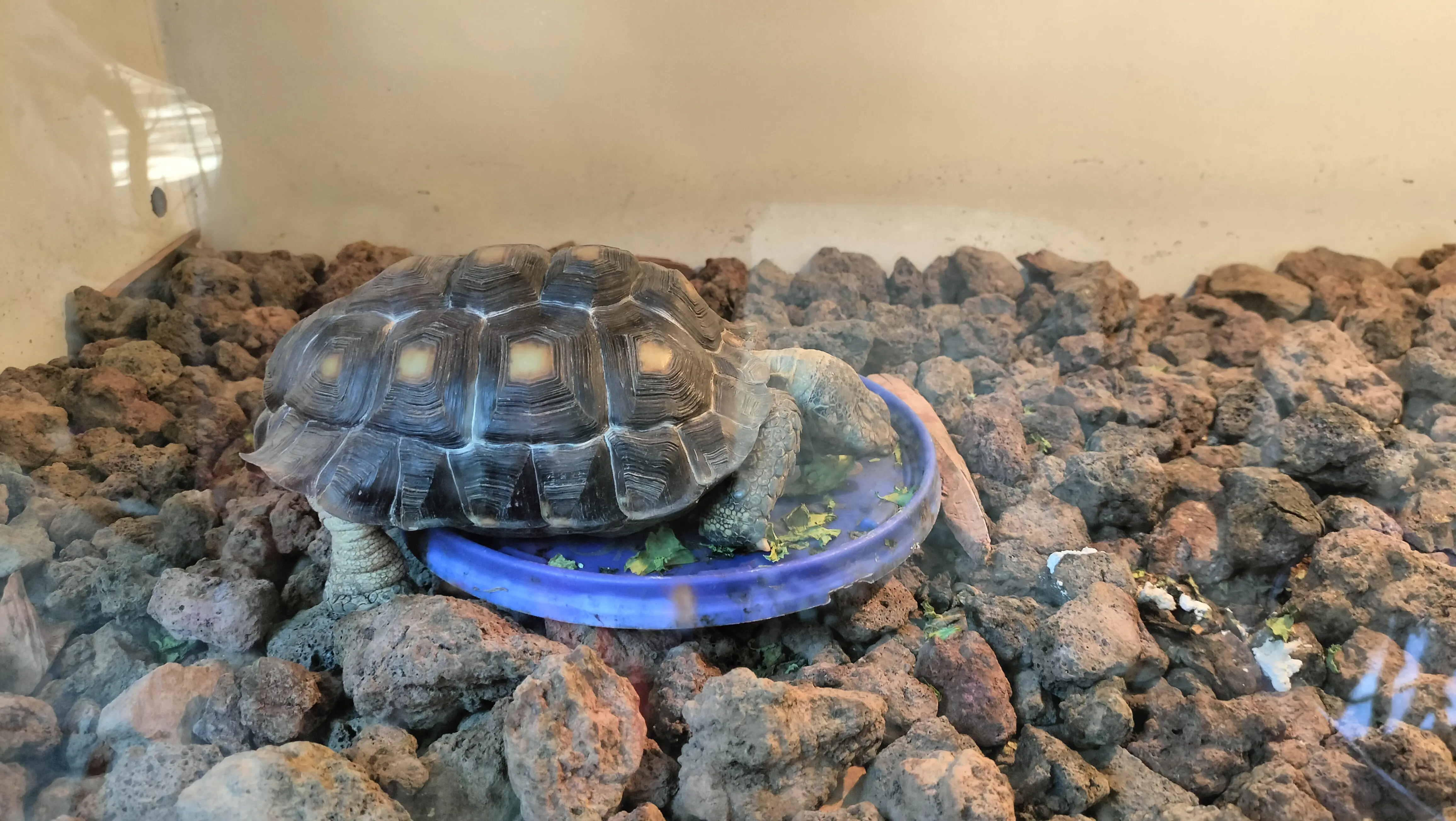 Isla Bamboo Restaurante image 6