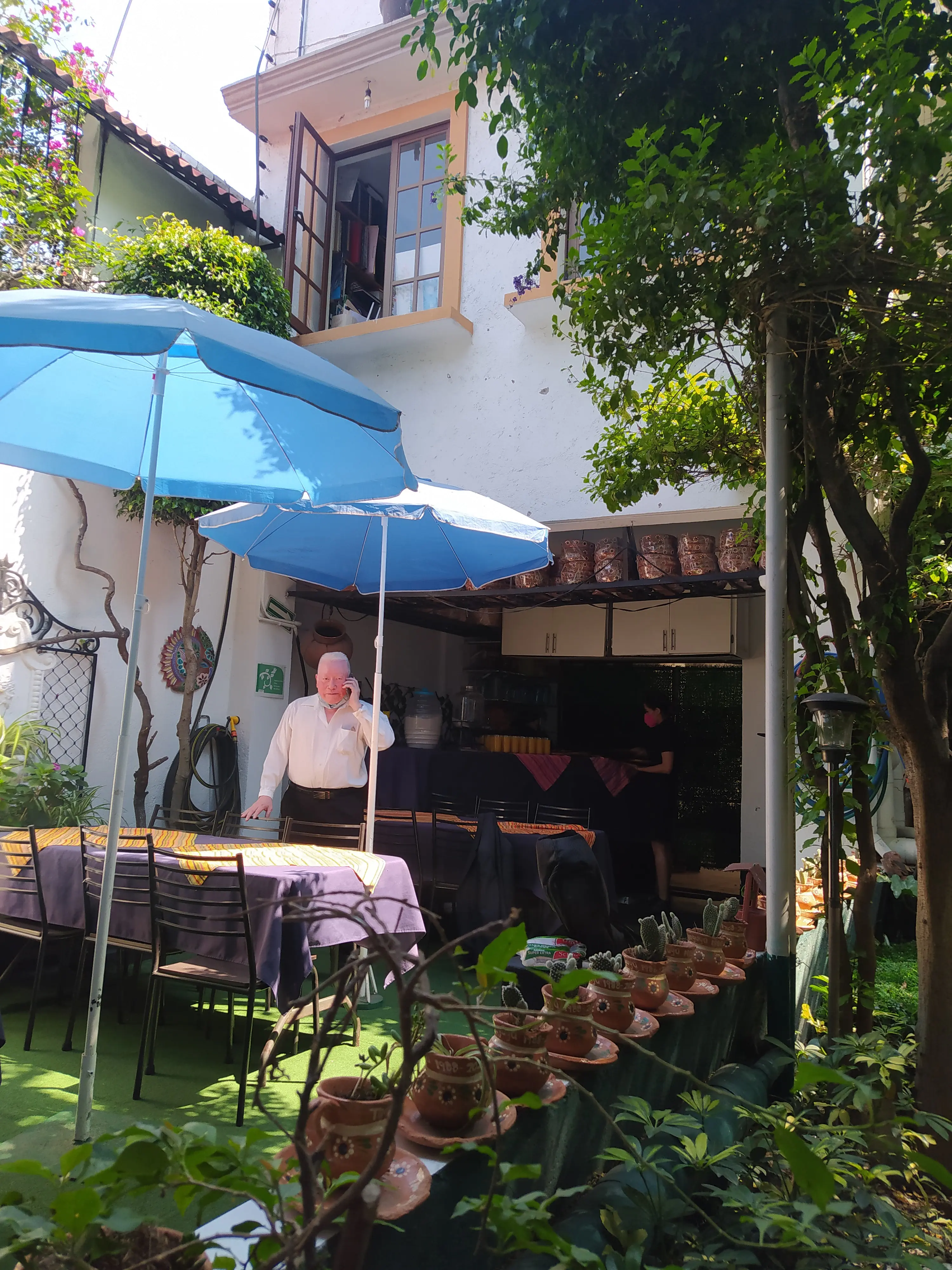 Tanguyú Restaurante Oaxaqueño image 10