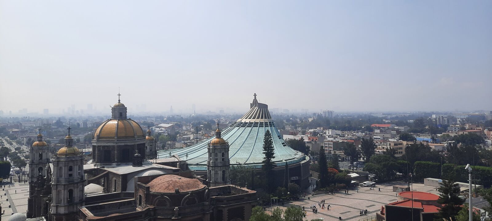 Zenón image 8