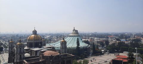 Zenón image 8