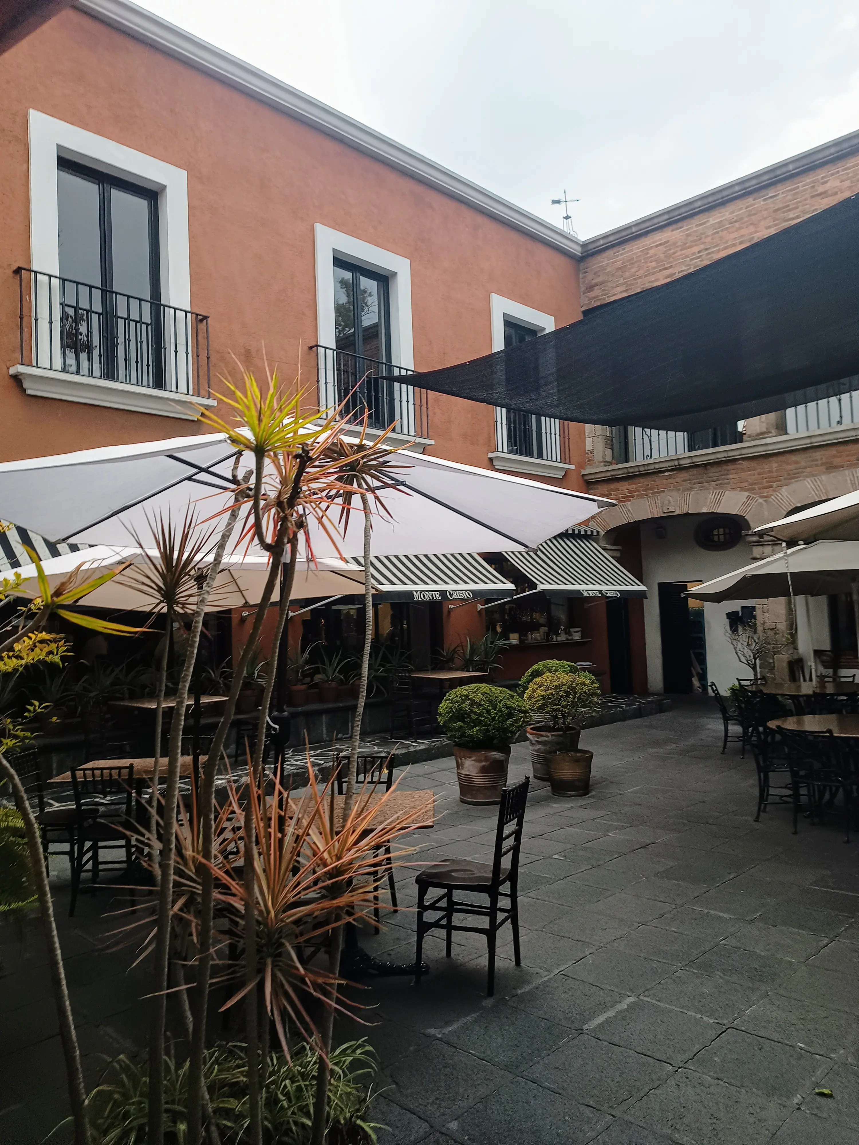 Monte Cristo image 4