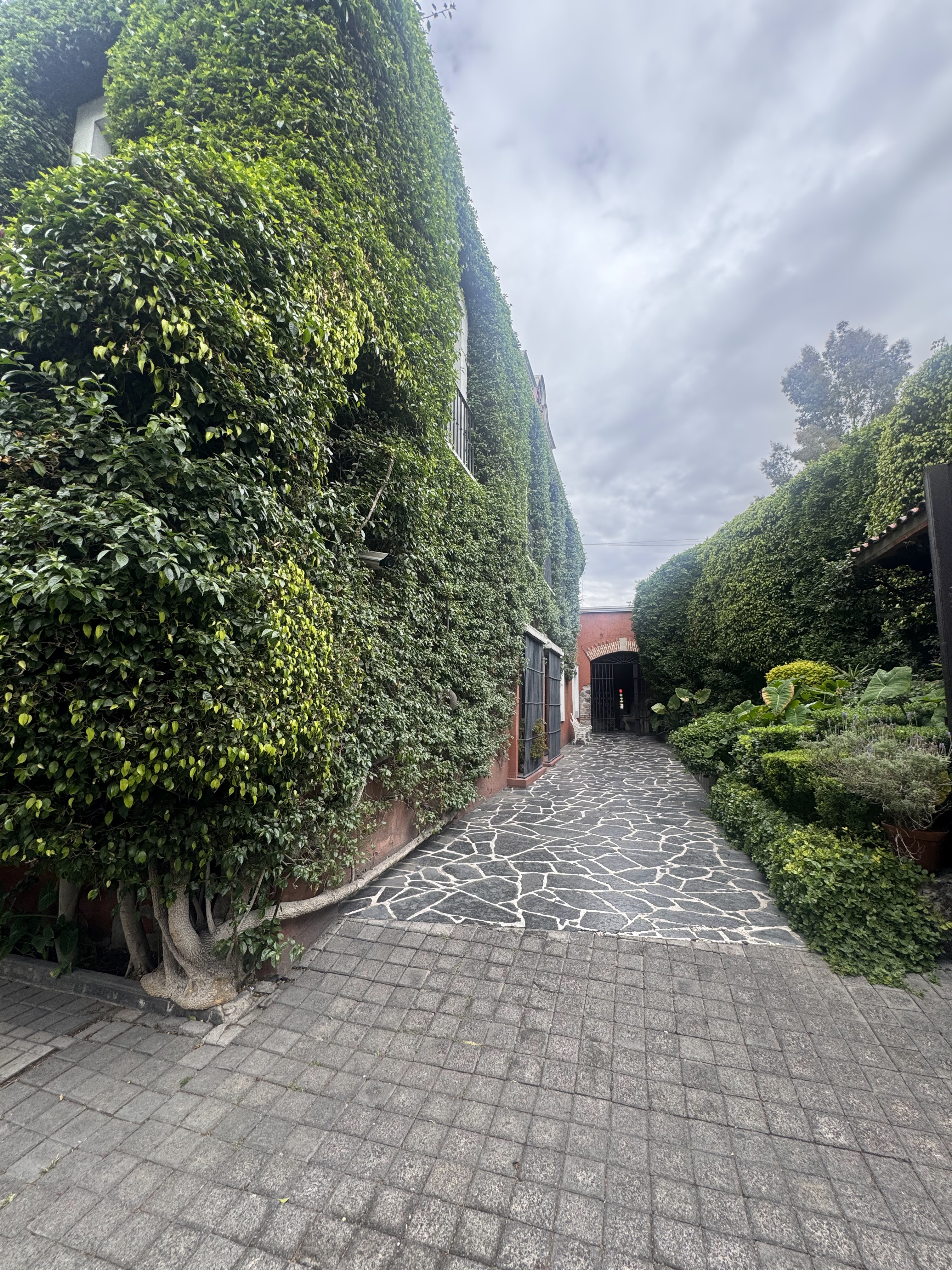 Monte Cristo image 8