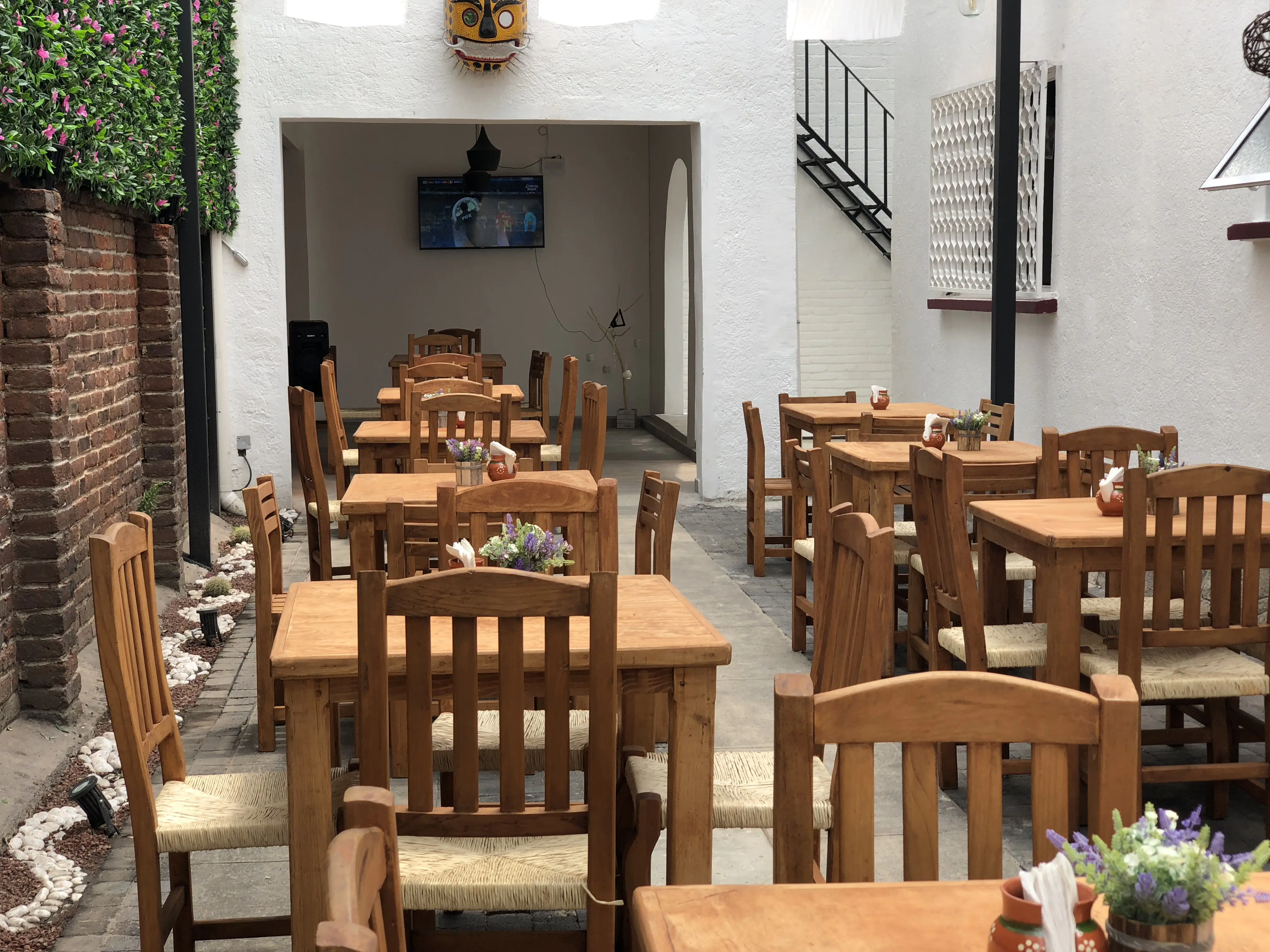 Barbacheria Alingo Lingo image 1