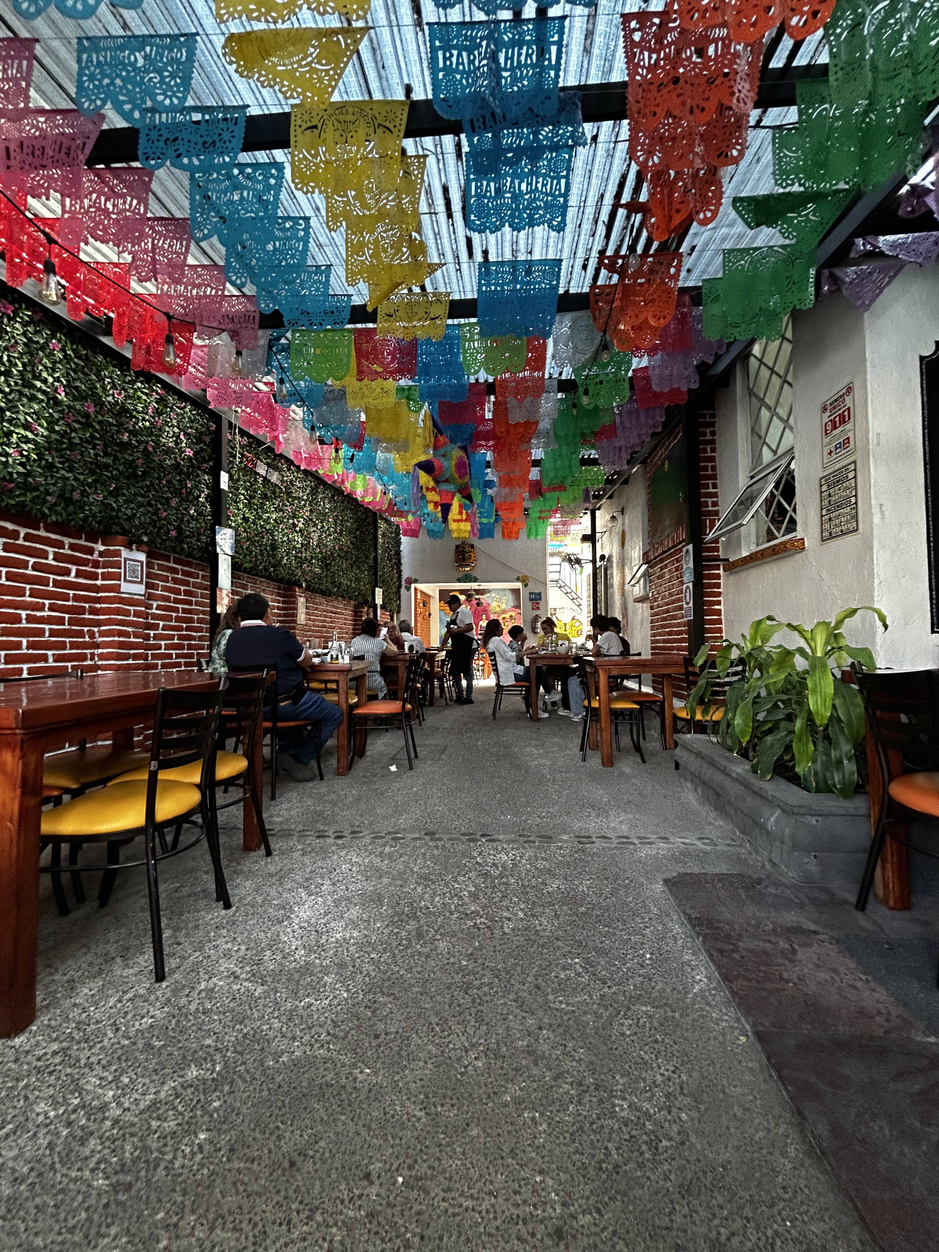 Barbacheria Alingo Lingo image 4