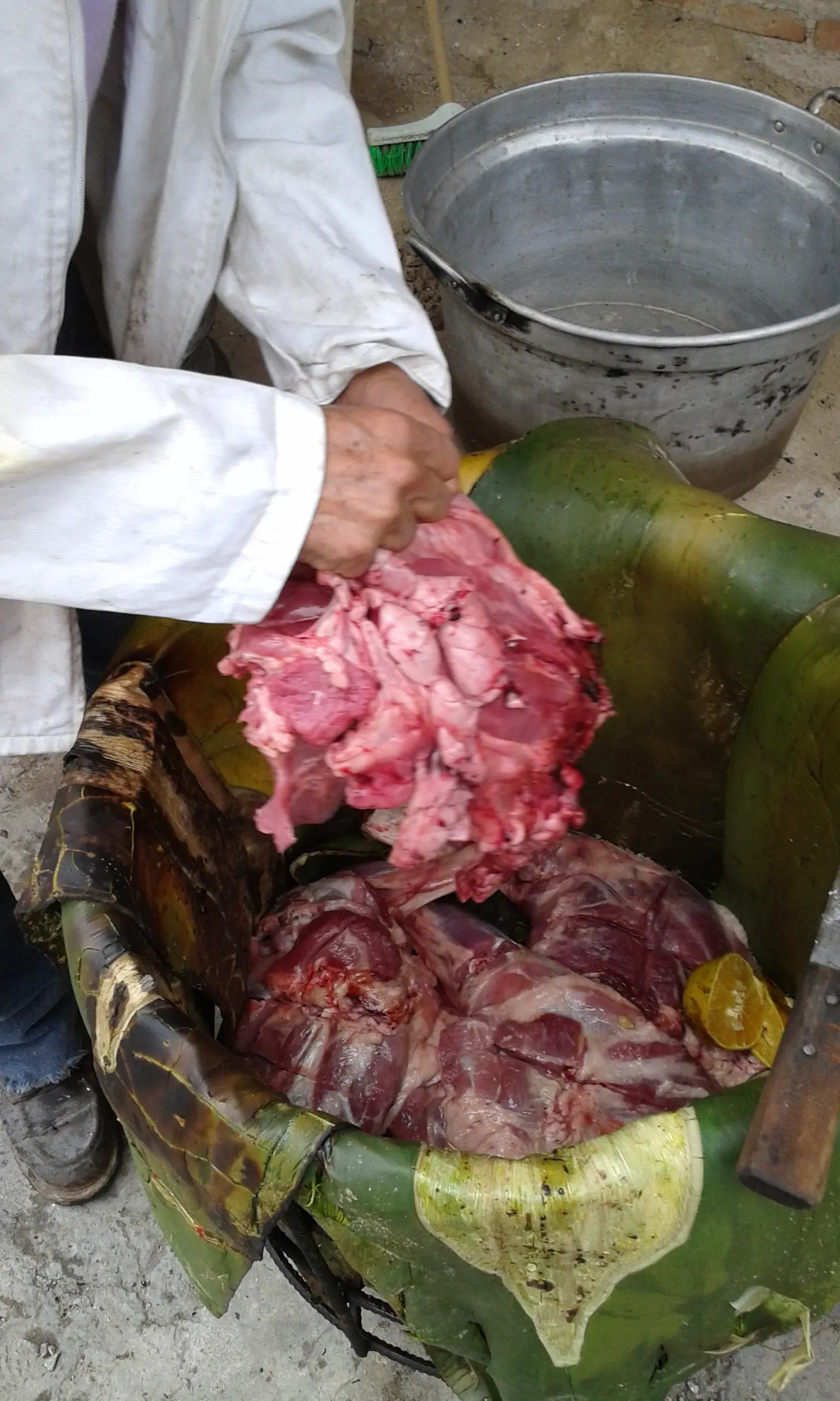 Los mejores tacos de cochinita desde 1980 image 5
