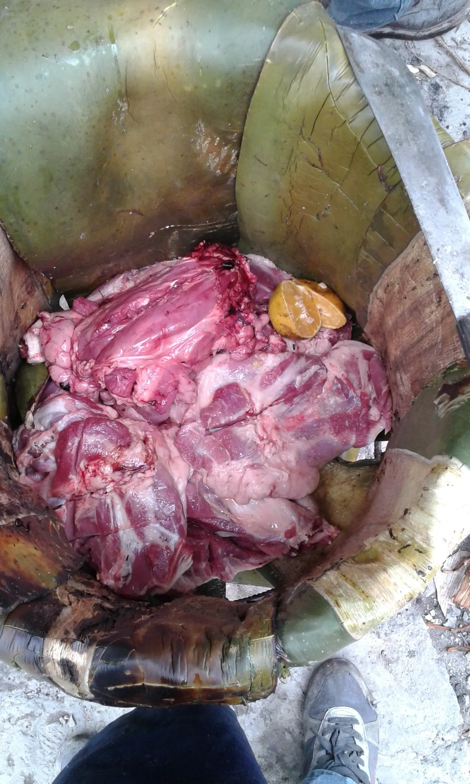 Los mejores tacos de cochinita desde 1980 image 10