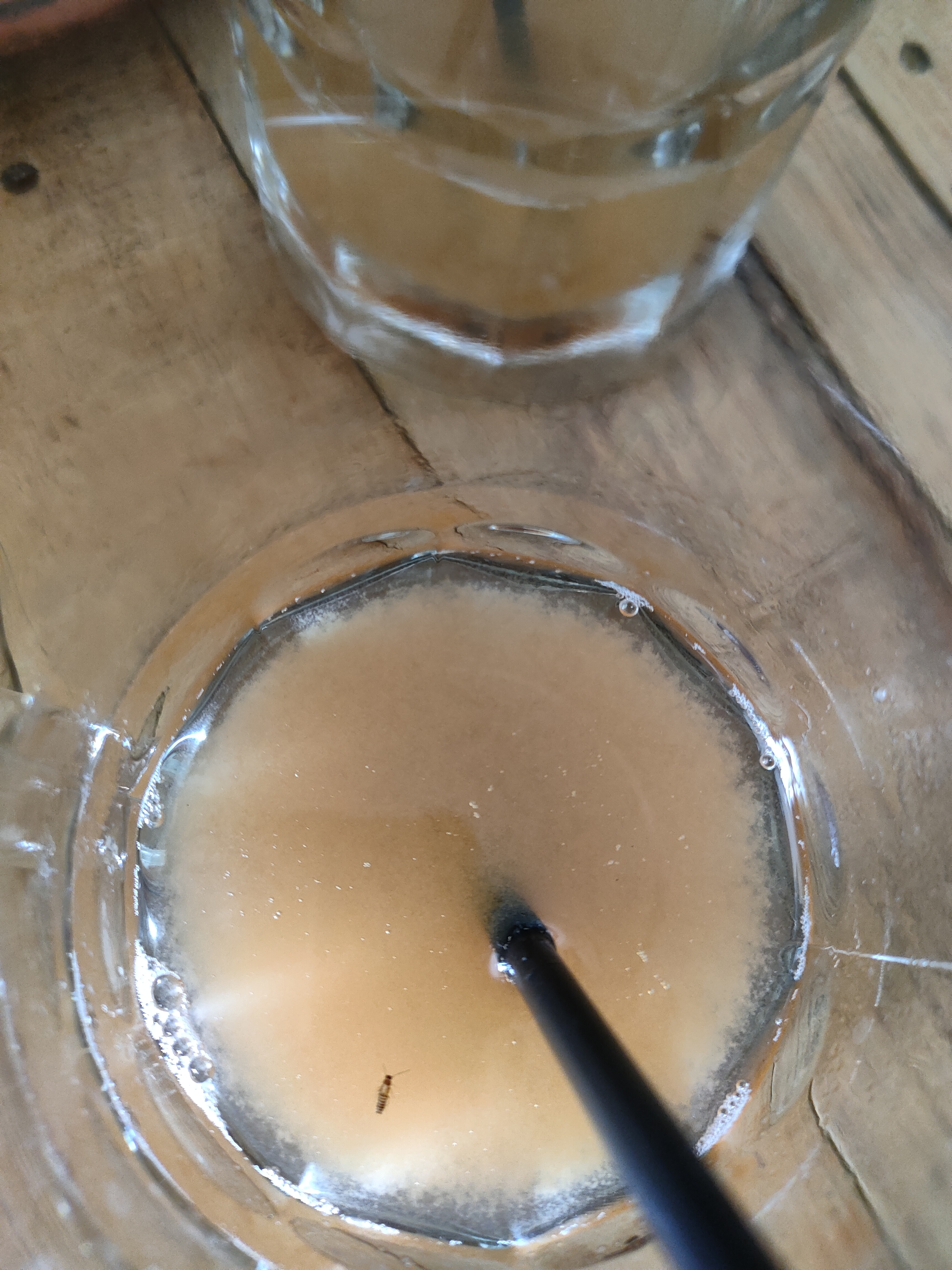 RESTAURANT EL JAHUEY image 8